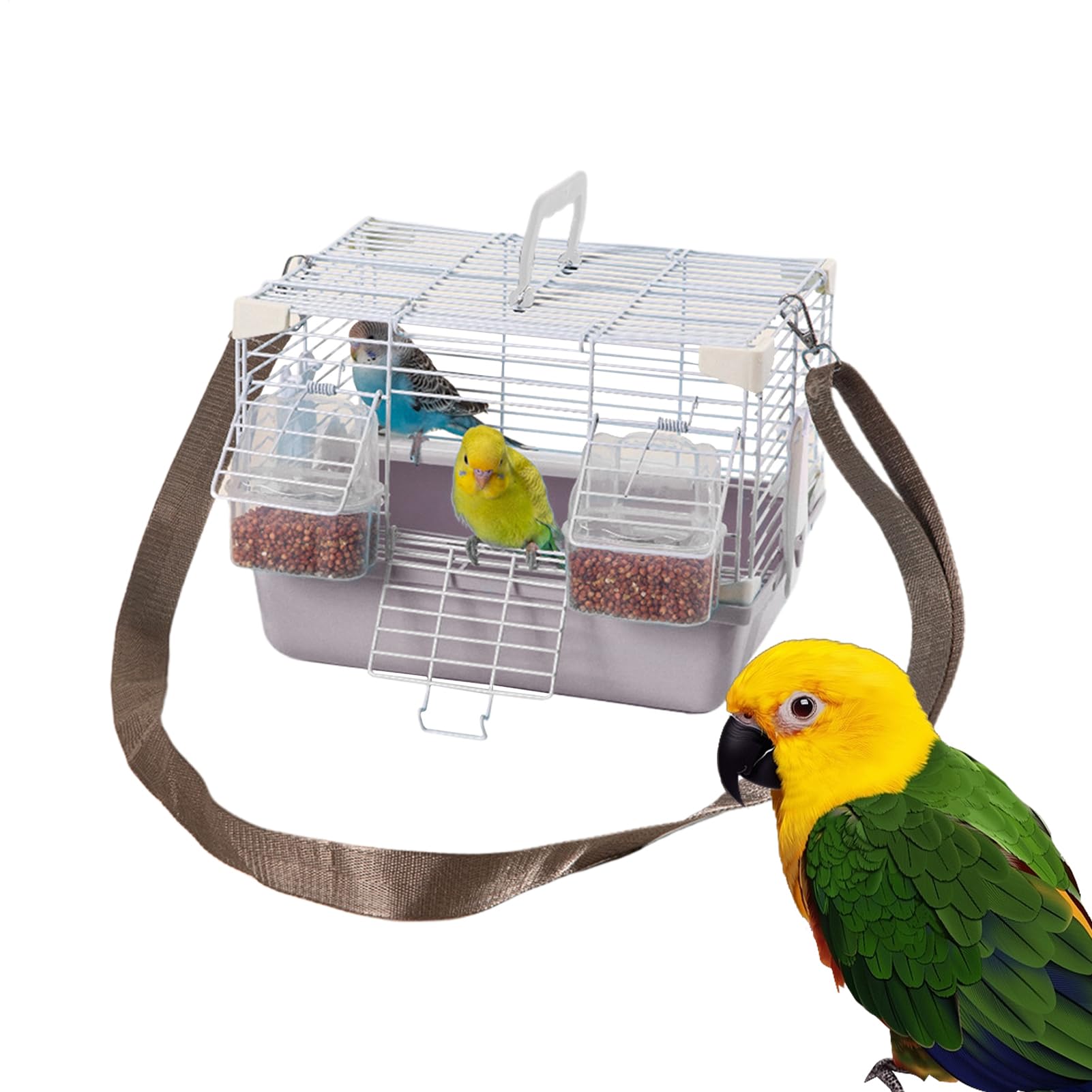 Cage de Transport pour Oiseaux, Cage de Transport Léger pour Petits Oiseaux, Matériel Renforcé pour Petits Animaux - Garde d'animaux, Transport en Exposition Et Visites Vétérinaires Aviaires