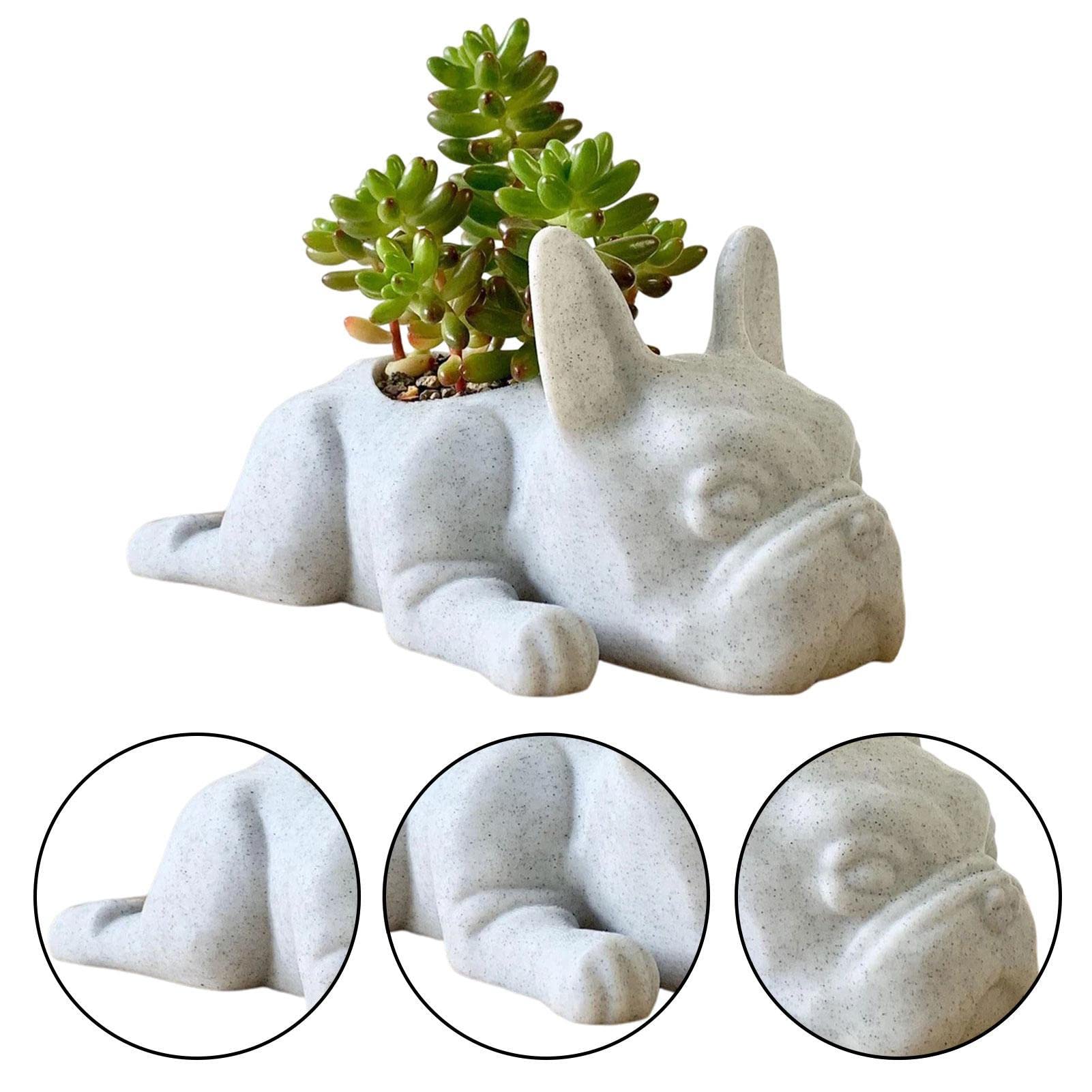 Amazon.co.jp: フレンチブルドッグ植木鉢、樹脂犬多肉植物 Amazon.co.jp: フレンチブルドッグ植木鉢、樹脂犬多肉植物