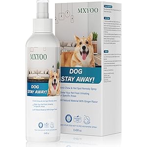 everjoice dog not here