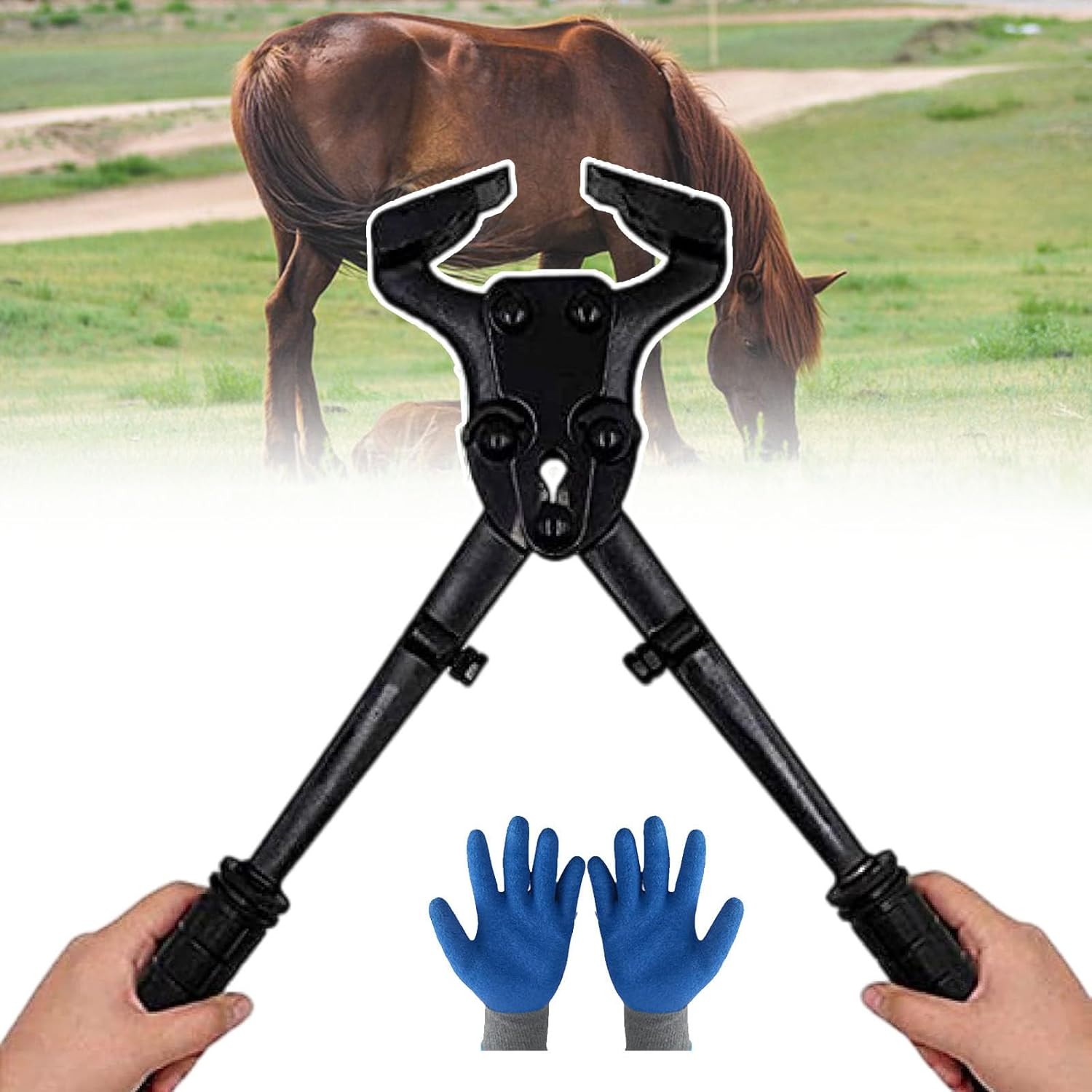 smafoseedding Farrier Tool,Horseshoe Trimmer Tool,Horseshoe Lock Ring Plier,Cow Hoof Pincers,Horse Farrier Hoof Trim Tool,Goat Hoof Trimming Shears Nail Clippers,Hoof Trimmers