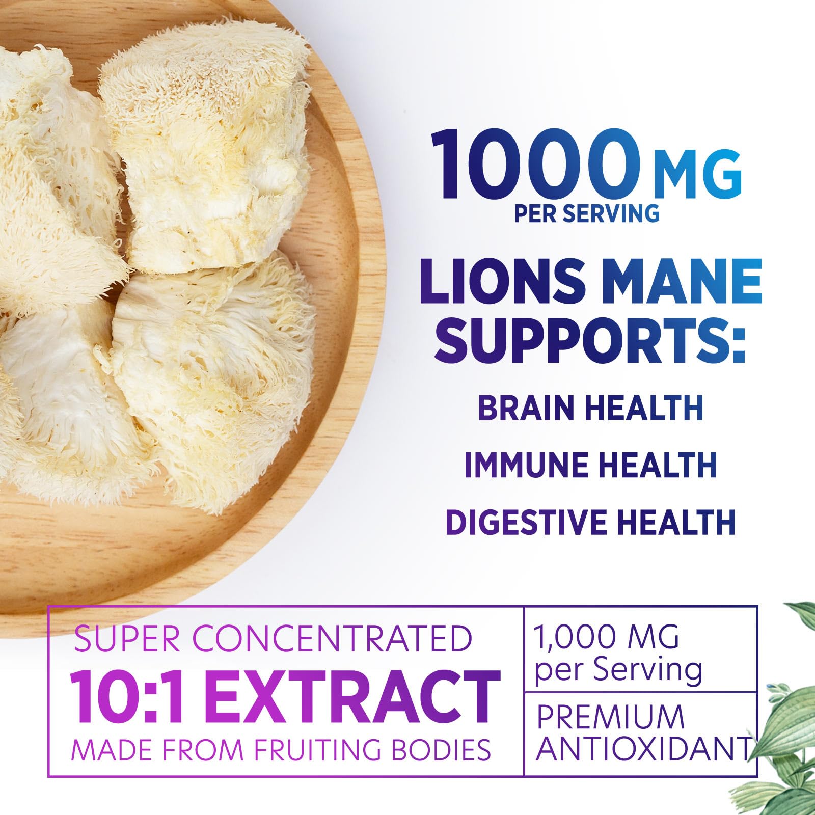 Lion's Mane Mushroom Supplement - Extra Strength Lions Mane Extract - Natural Memory & Focus Support - Brain & Immune Health Support - Vegan LionsMane Mushroom Powder - Bottled in USA - 120 Capsules — Amazon image 3