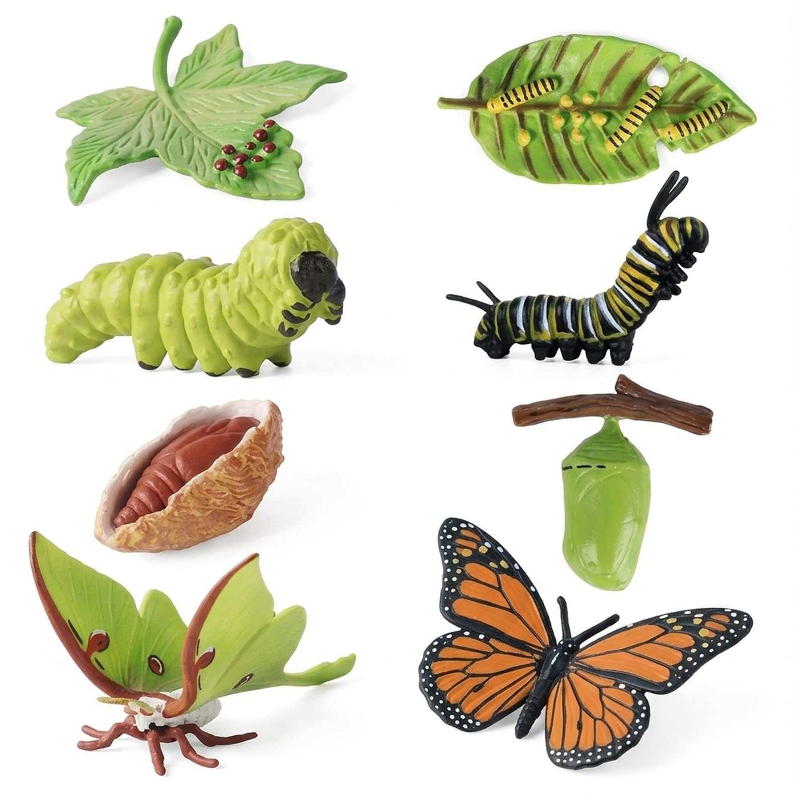 8Pcs Butterfly Growing Kit with Caterpillars, Educational Insect Life Cycle Set, Realistic Butterfly Kit, Luna Moth and Butterfly Growth Stages, Teaching Resources for Science Learning