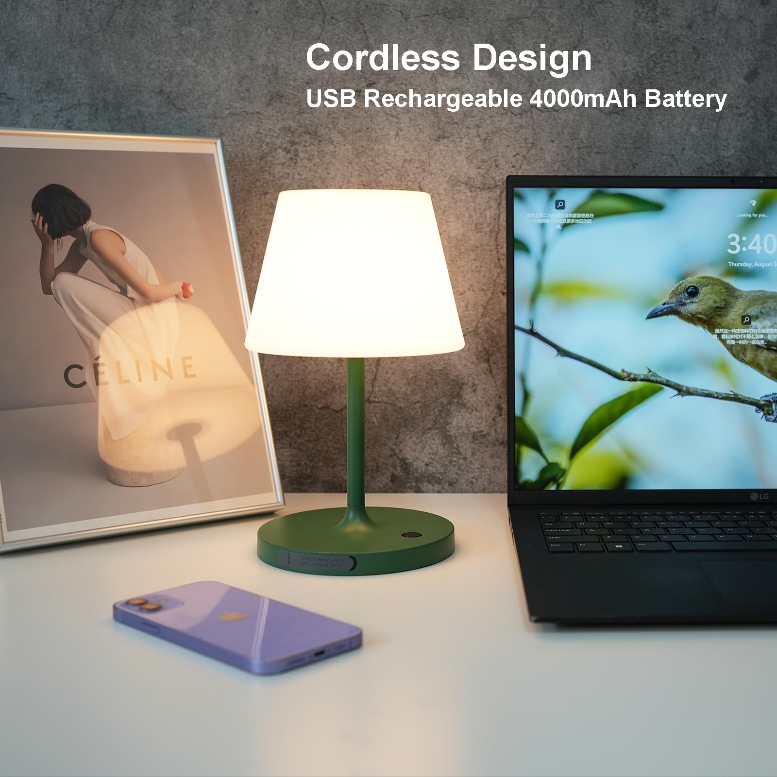 https://m.media-amazon.com/images/I/71kVKCDyBkL.jpg