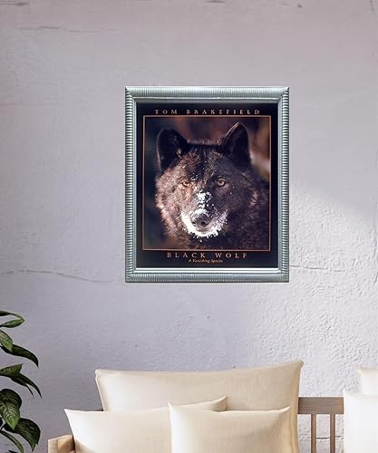 Miniatura 9 de Póster artístico para decoración de pared, diseño de lobo negro (una especie desaparecida) (16 x 20 pulgadas)