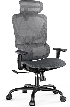 NOBLEWELL Ergonomic Mesh Office Chair with Flexible Adjustment Lumbar Support, High Back Desk Computer Chair with 2D Wide Headrest, Armrests, 130 Rocking Tilt, Home Office Chair for Long Hours, Grey