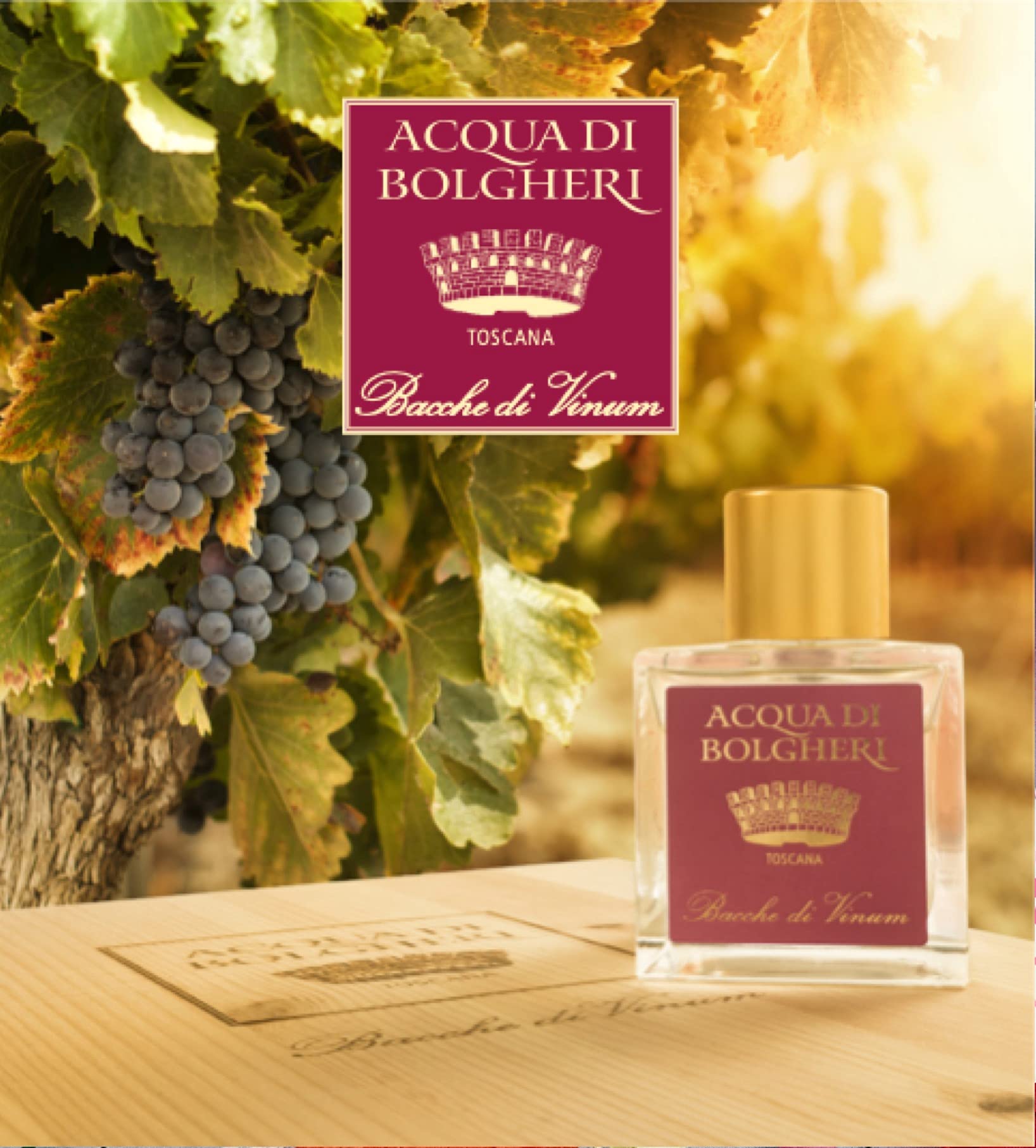 Acqua di Bolgheri EAU DE PARFUM - 100 ml
