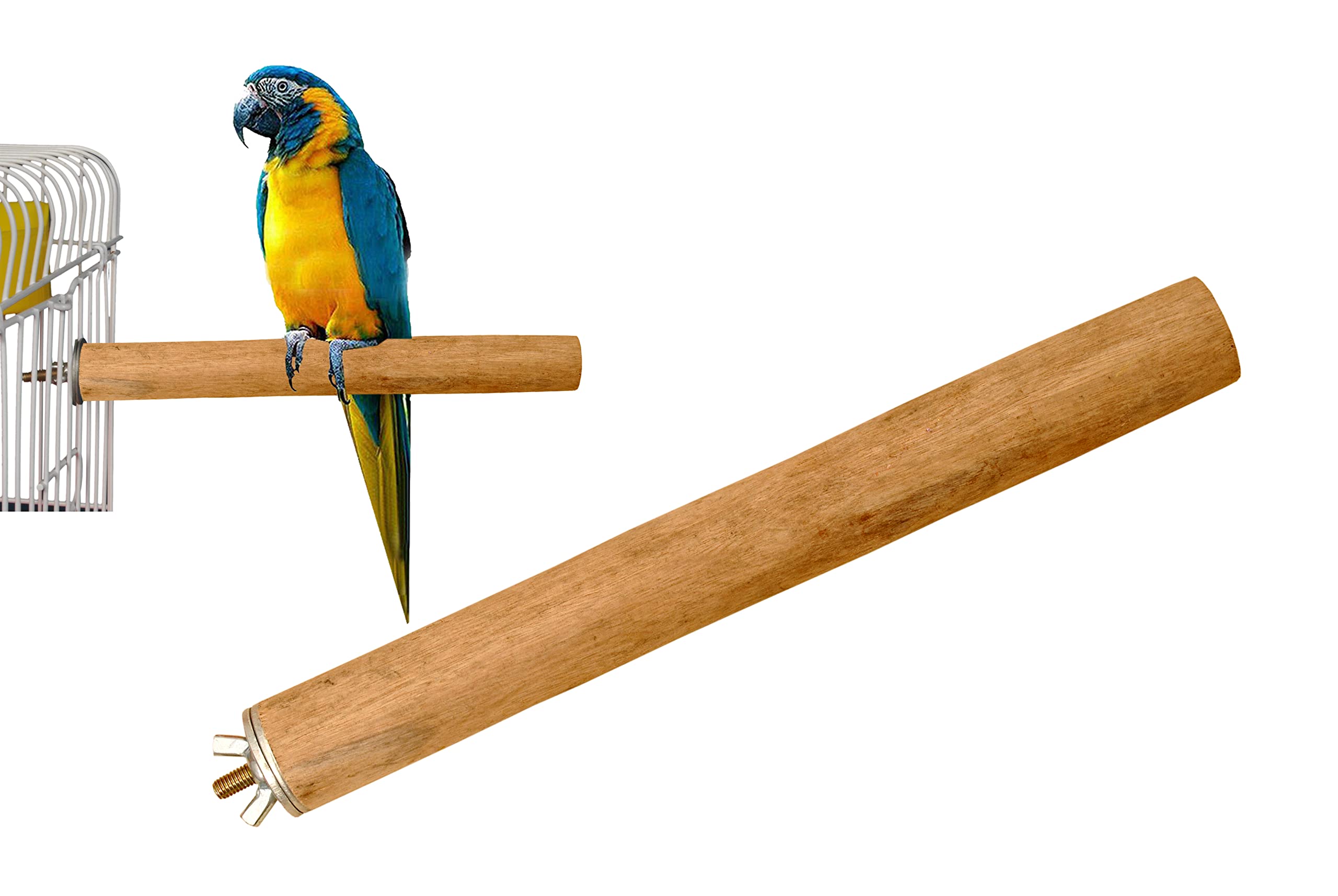 TAIYO PLUSS DISCOVERY® Bird Wooden Perch Stick/Stand, Size: (23X2.5 CM) (LXH) (8 inches), Suitable for Lovebirds, Finches, Budgies, Cocktail & All Birds (Pack of 2) (Small) (B09KH2T6V4) Amazon Price History, Amazon Price Tracker