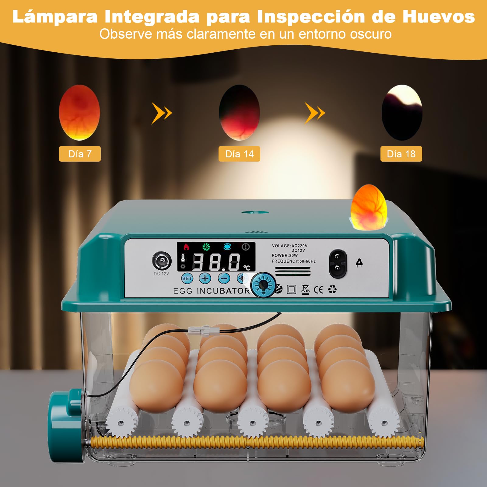 CoInceptus Incubadora Huevos Gallina, Incubadora de 12-16 Huevos con Volteo Automático de Huevos y Adición Automática de Agua, Incubadoras para Huevos de Gallina, Codorniz, Pato