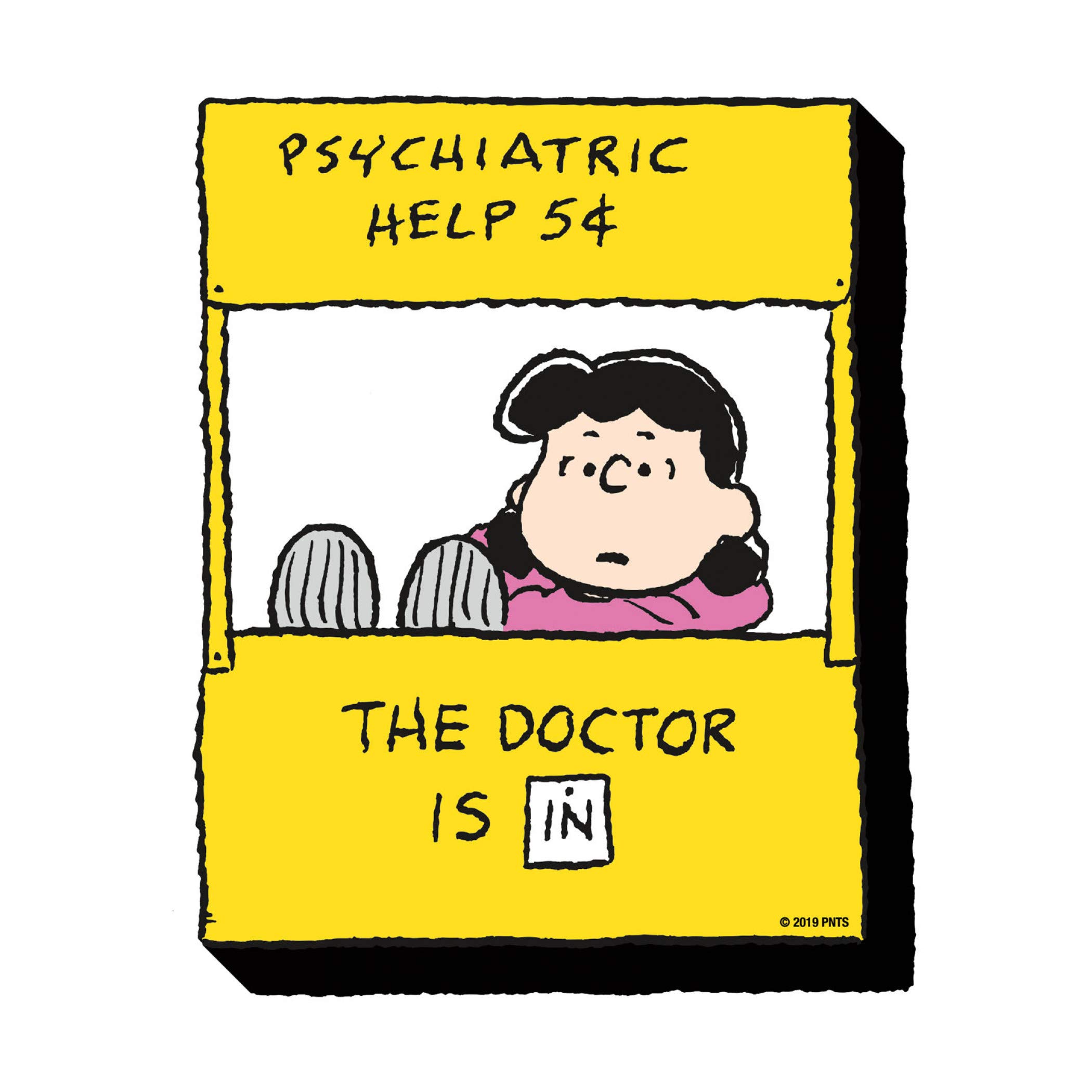 Amazon.com: AQUARIUS Peanuts Lucy Funky Chunky Novelty Magnet for