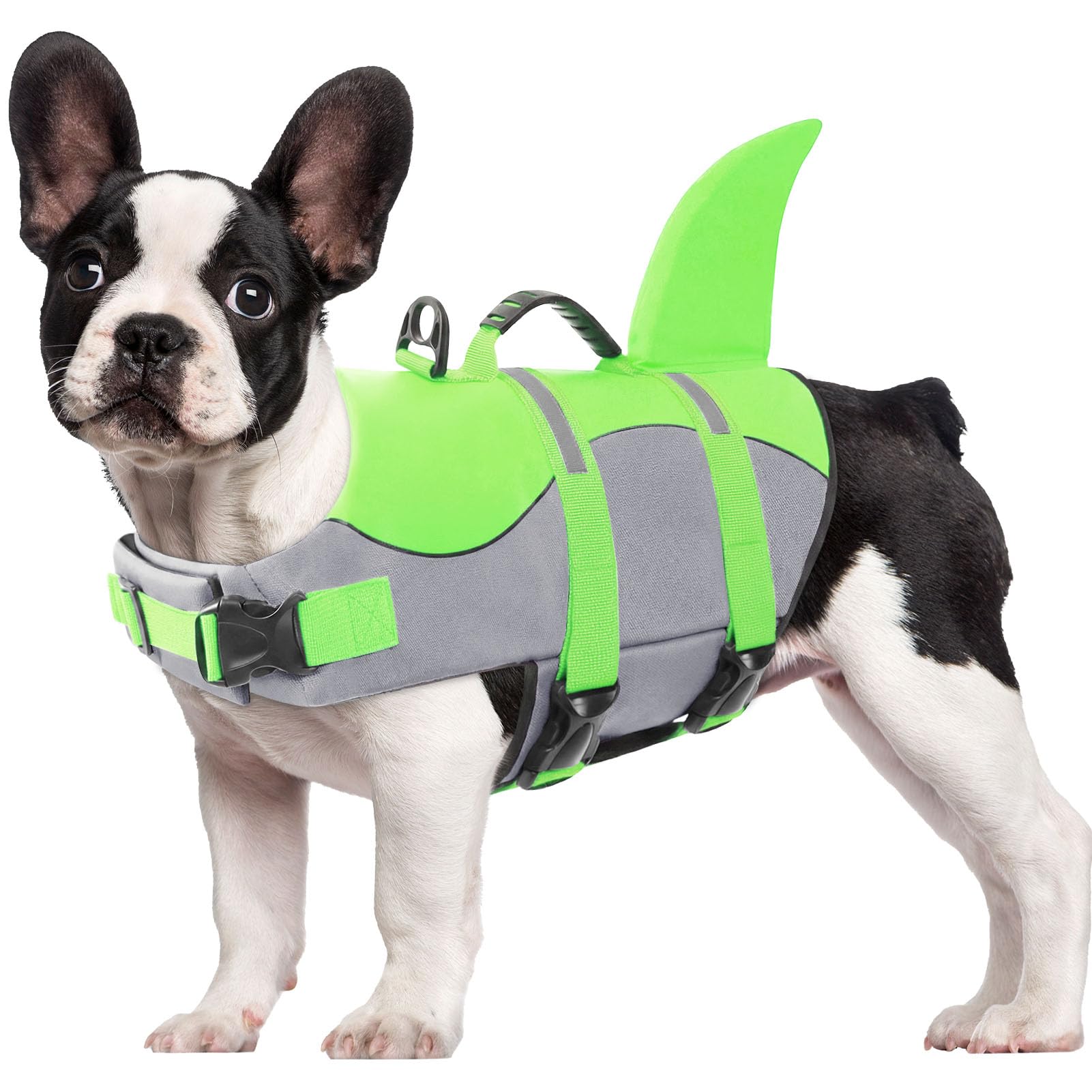 CITÉTOILE Salvagente per Cane, Giubbotto Salvagente per Cani, Ripstop Regolabile Squalo Giubbotto di salvataggio, Leggero e Sicuro per Gli Sport Acquatici, verde, L