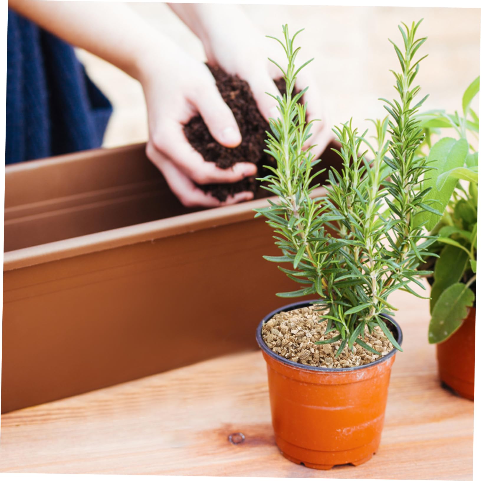 POPETPOP Vermiculite Fine 3l pour Jardinage, Granulés de Culture