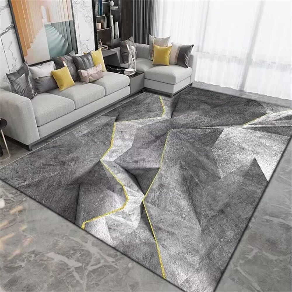 Tapis de chambre résistant à l'usure de style moderne et grand format pour salon rectangulaire