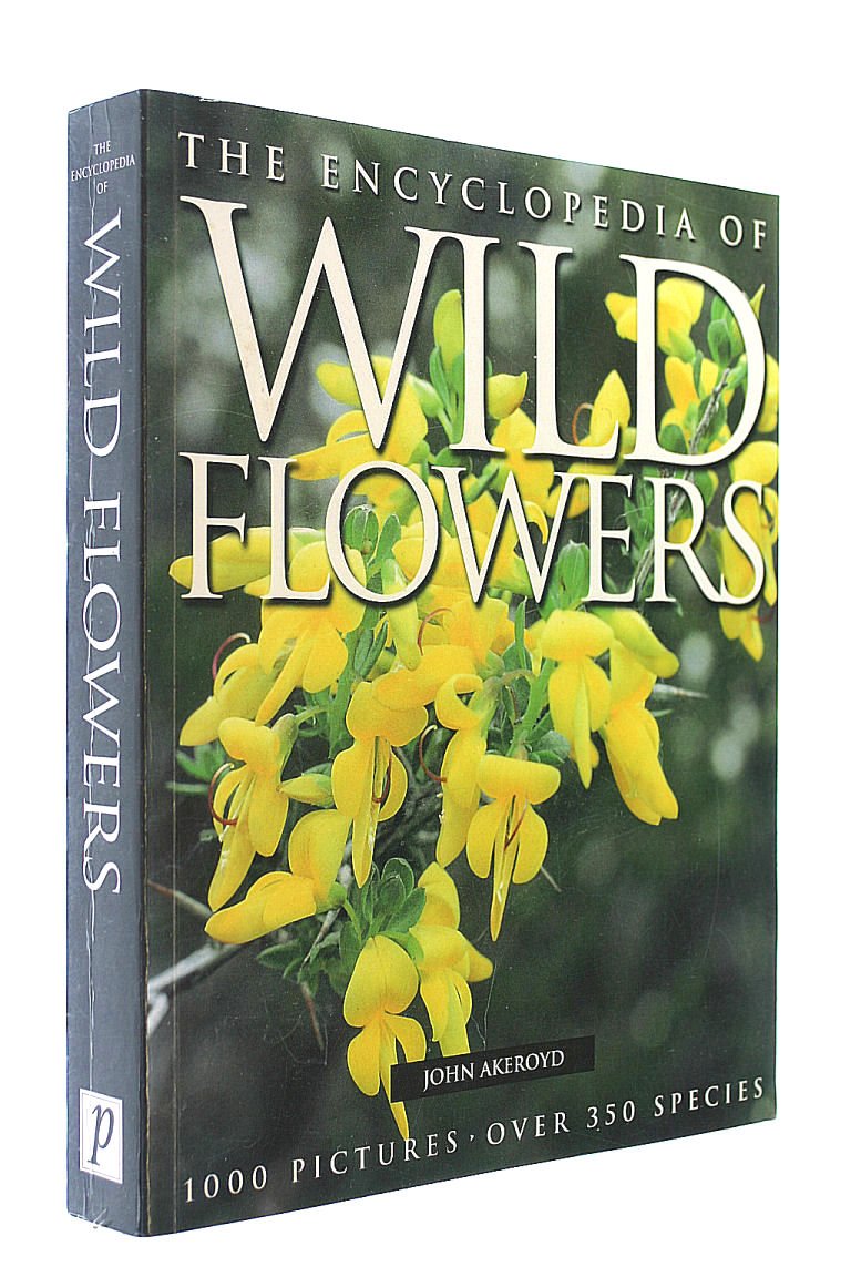 Concise Encyclopedia of Wild Flowers (Encyclopedia S.) Amazon.co.uk