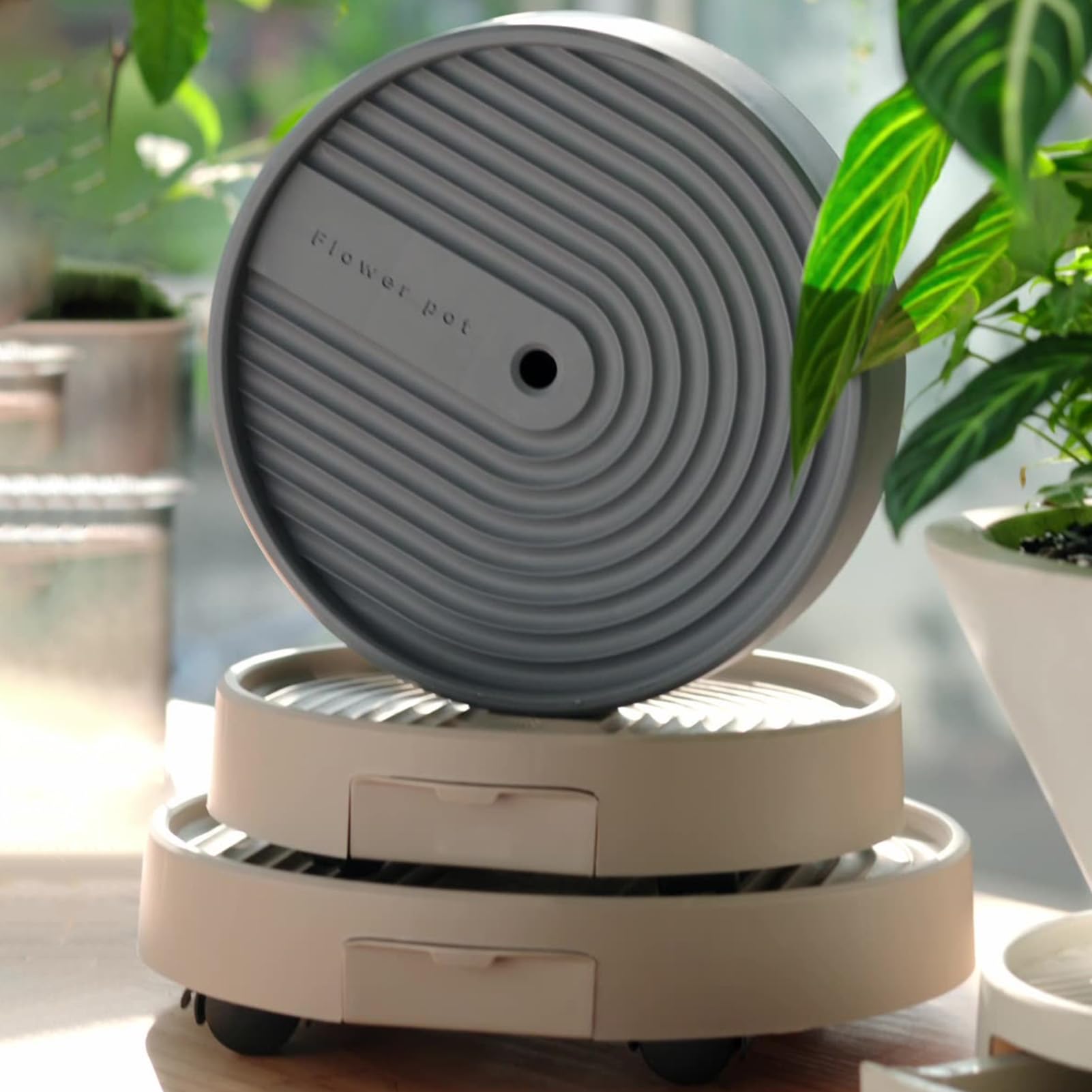 Plateau rond à roulettes pour plantes idéal pour optimiser la lumière du salon