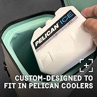 Vista 3 de Pelican Hielo