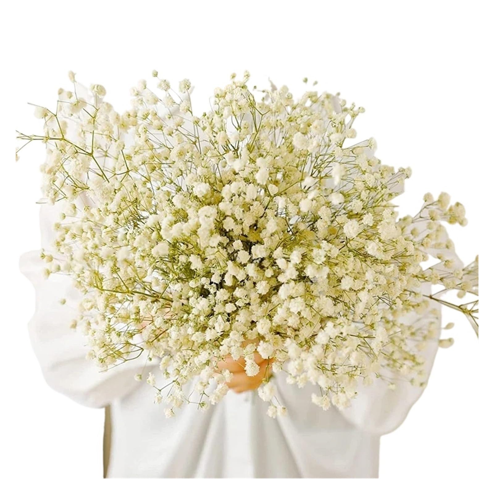 gypsophile séché Fleurs séchées Gypsophila paniculata 40-50cm, Bouquets de Fleurs Souffle bébé, décoration Mariage, Maison(Green,40g (40cm))
