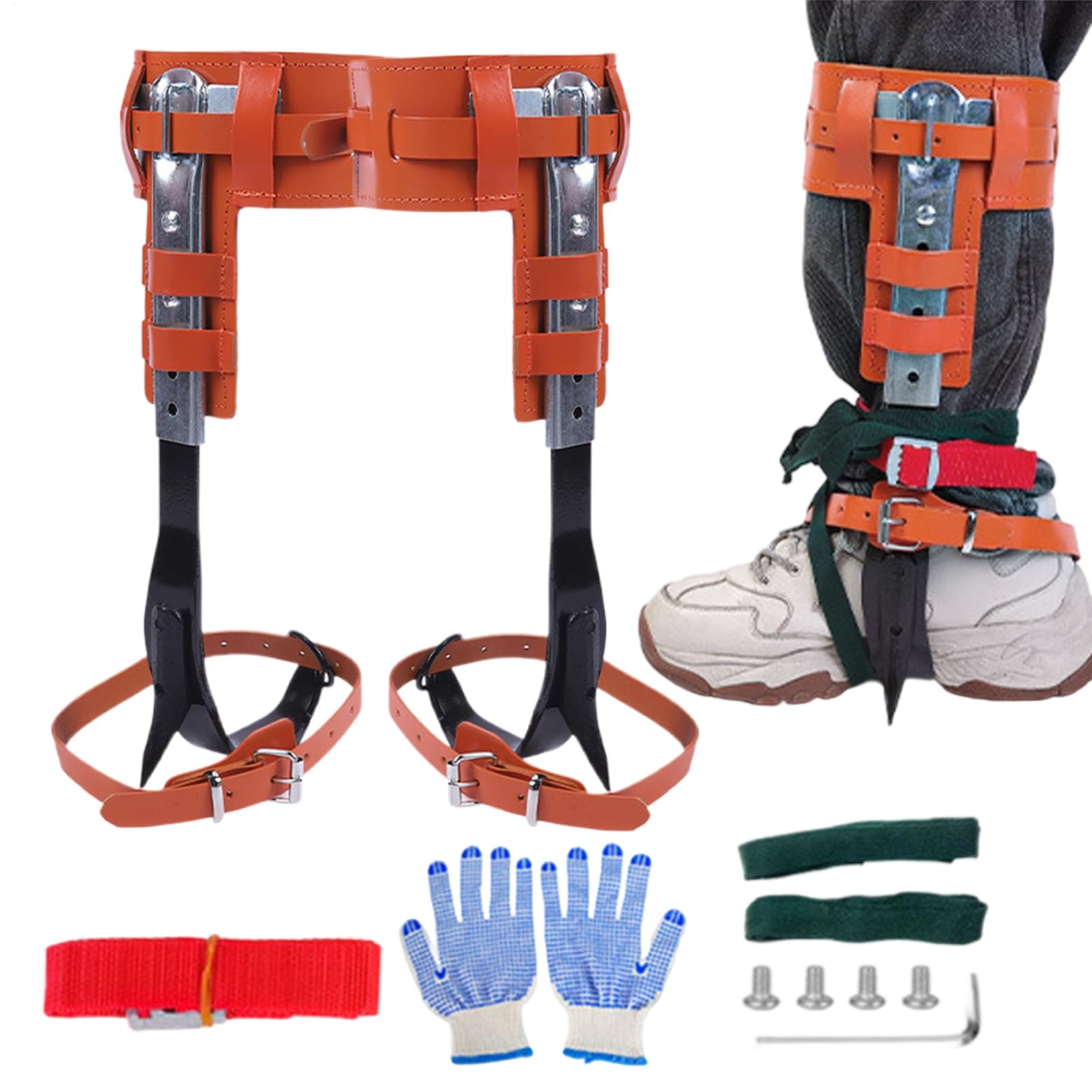 Crampons d'Escalade pour Arbre Ergonomique, Hauteur Réglable, Loisirs Plein