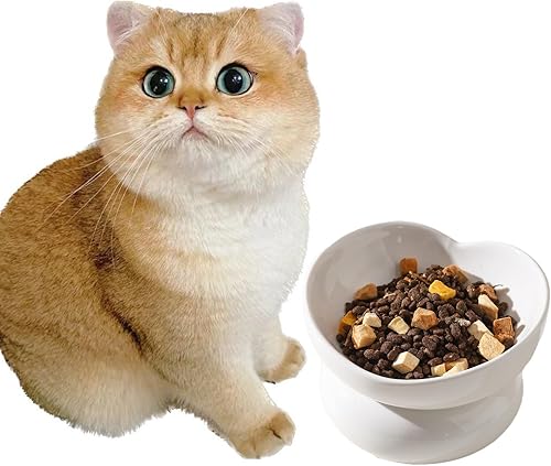WUYIAZHI Lindo cuenco para gatos en forma de corazón, cuenco elevado de cerámica blanca para gatos, pequeño plato elevado para gatos y gatitos de
