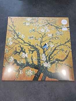 71kVYONk38L._AC_UF350, 71kVYONk38L._AC_UF350,