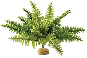 Exo Terra Reptile, Amphibian Boston Fern Terrarium Plant, Medium