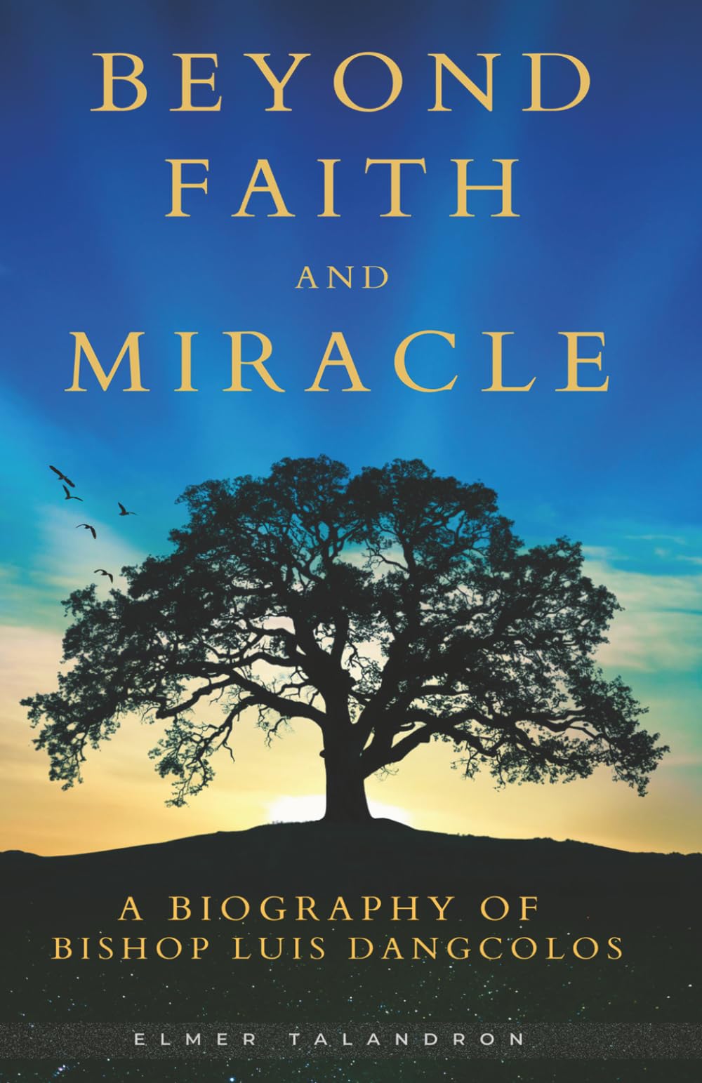 Beyond Faith and Miracle: A biography of Bishop Luis Dangcolos