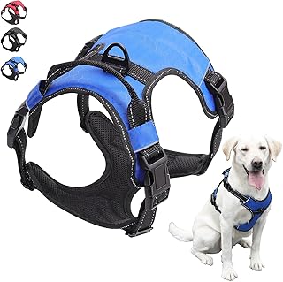 best harness for labrador
