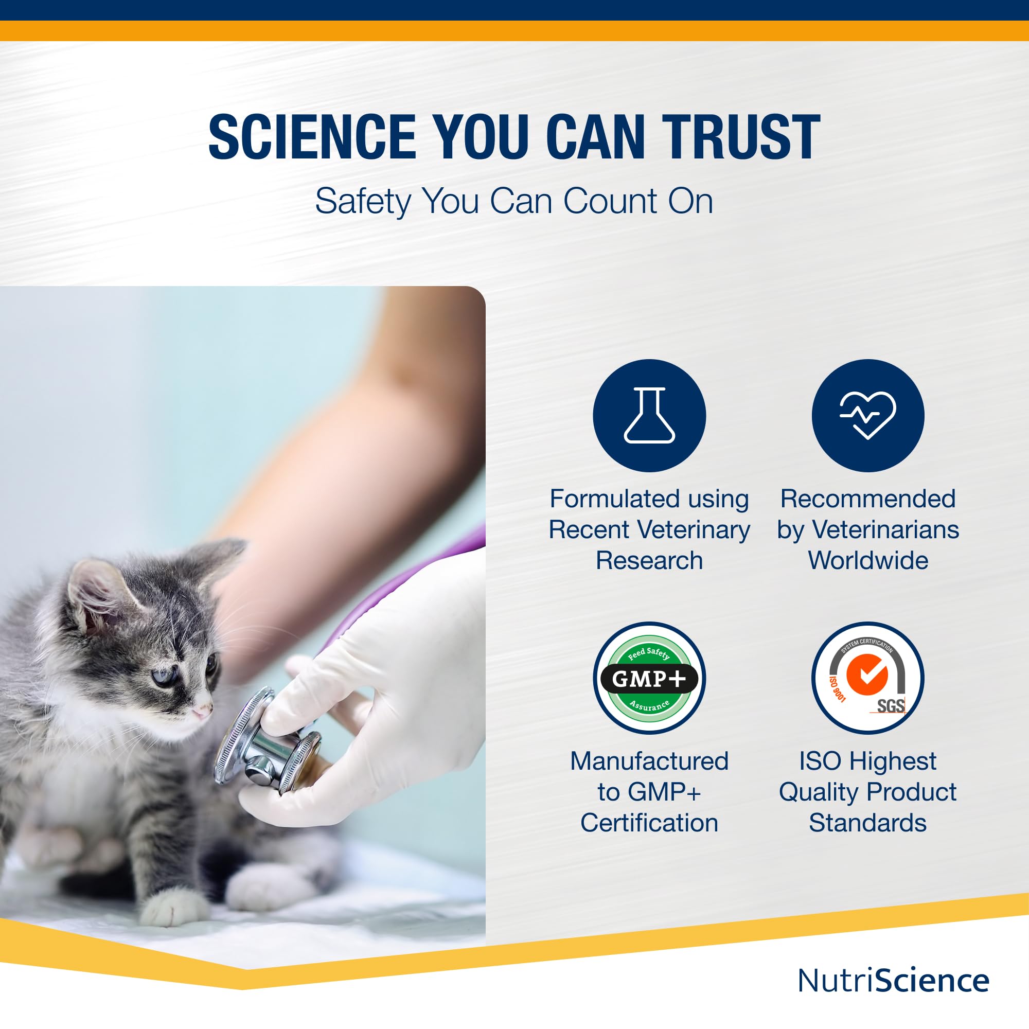 NutriScience ArthriAid Omega Cat Gel – Saveur saumon, complément pour articulations des chats (50 ml) – Avec glucosamine, chondroïtine, MSM et oméga 3 – Soutient la santé et la mobilité articulaires