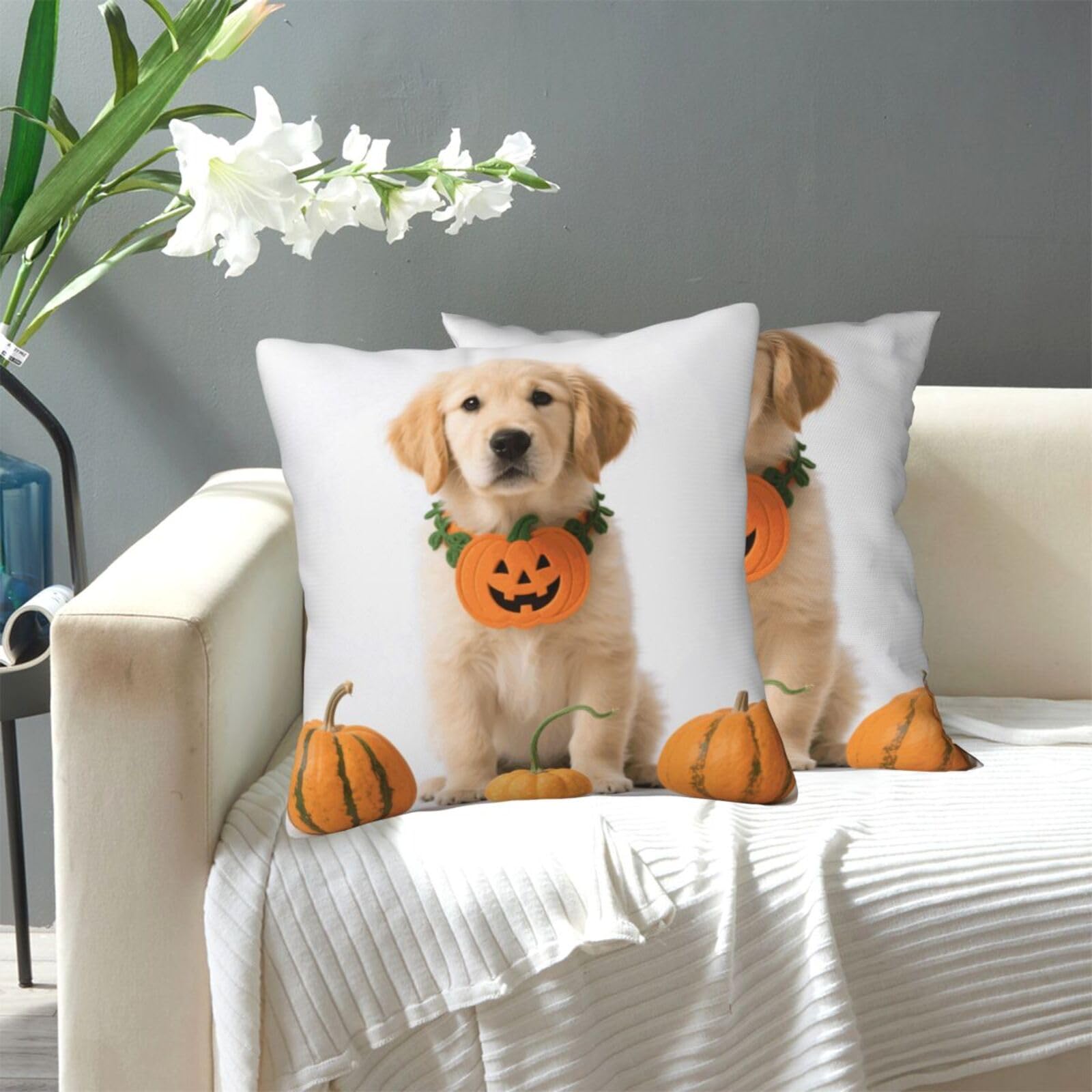 FekiLoot Decorative Throw Pillow Covers Modern Farmhouse Pillowcase Double Sided Cozy Cushion Cover for Sofa Couch Bed 12"X12" Pumpkin Dog