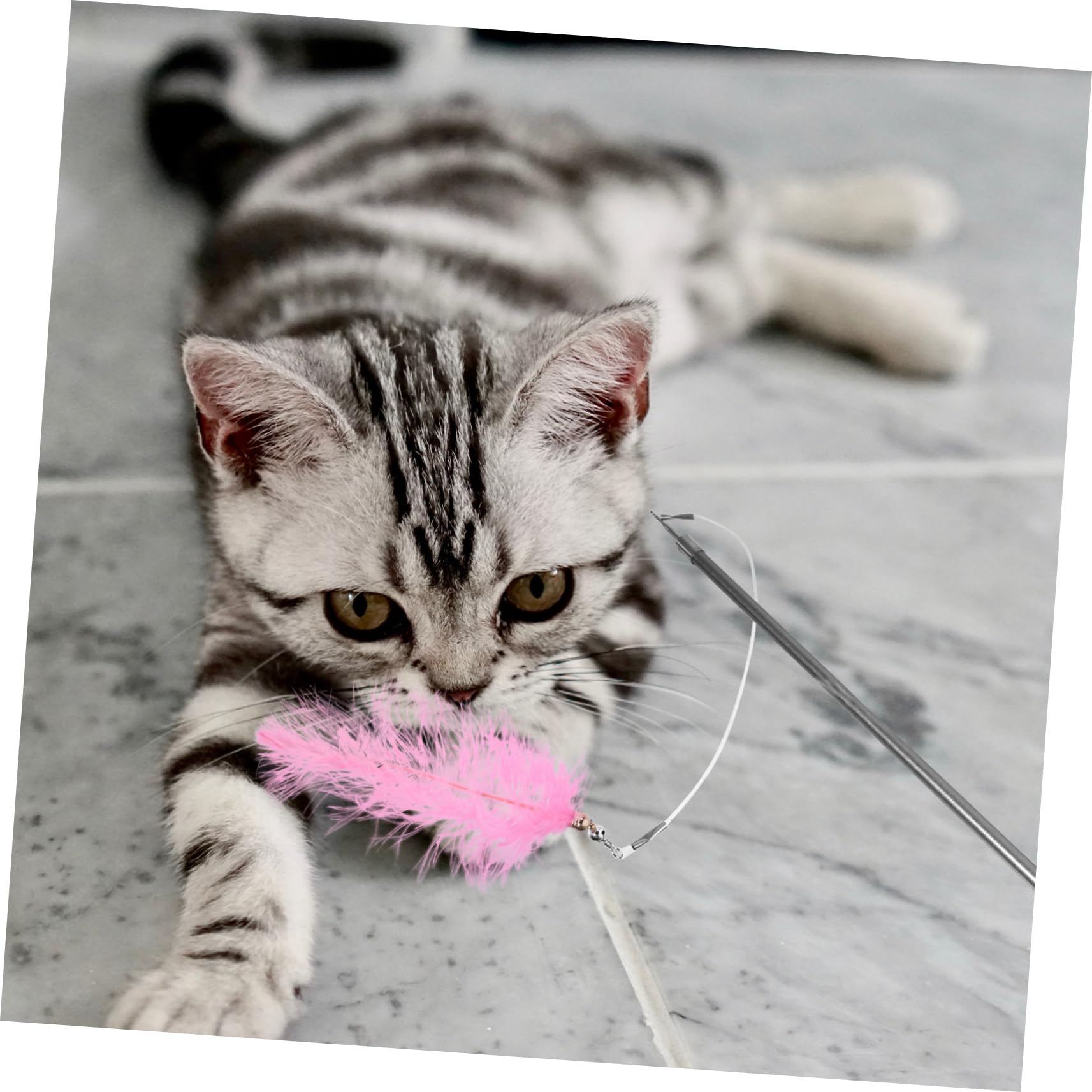 Happyyami 3stücke Interaktives Katzenangel-Spielzeug Mit Ersatzfedern Teilige Teleskop-Stange Für Katzenunterhaltung Gewichtsreduktion Und Gesundes Spielen
