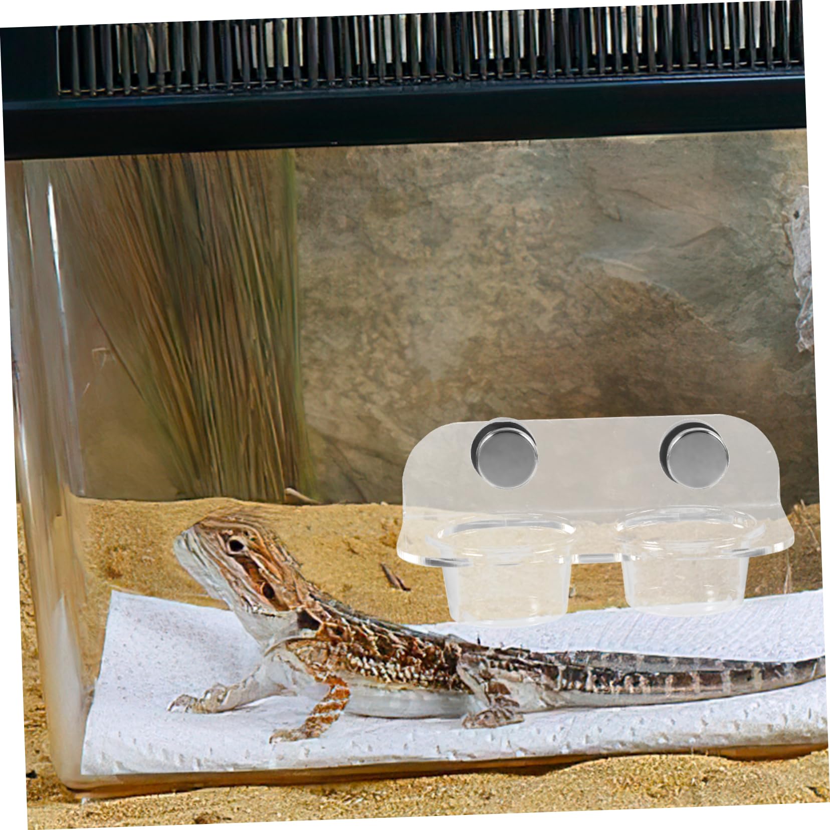 2juegos Comedero De Magnético para Reptiles Tazón De Agua y Comida para Tortugas y para Alimentación y De Limpiar y