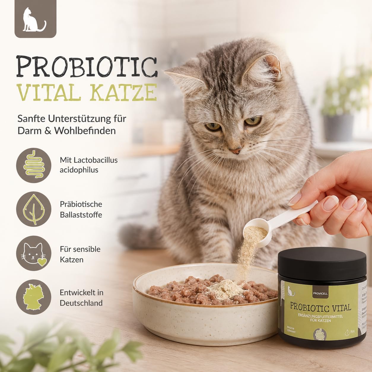 Probiotic Vital Katze - Probiotika & Präbiotika Pulver für Katzen 75g – Unterstützt die Normale Verdauung – Nur 1 Bakterienstamm & Ballaststoffe - Mit Tierärzten in Deutschland entwickelt