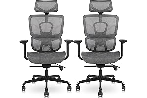 Ergonomic Office Chair with Adjustable Seat Depth