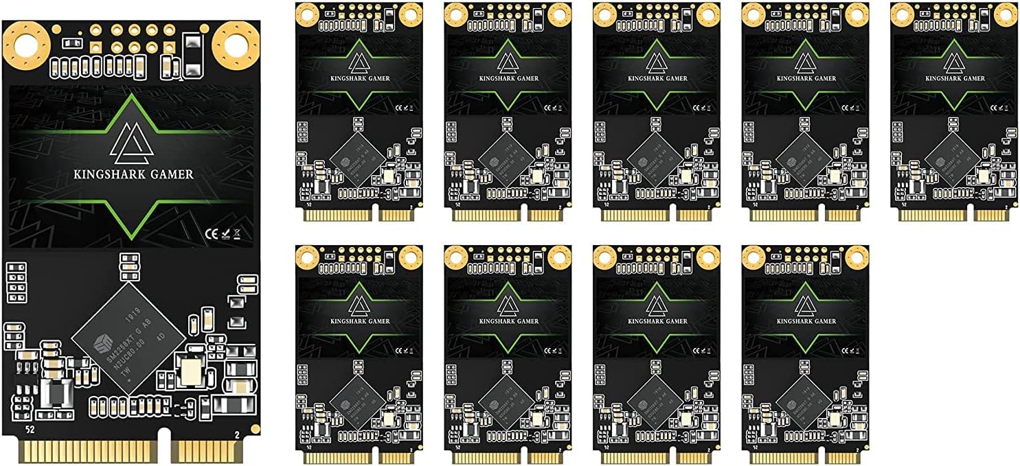 Kingshark SSD MSATA 256GB High Performance Internal Solid State Drive for Desktop Laptop 10 Unit Package Pack [256GB(10 Packs),MSATA]
