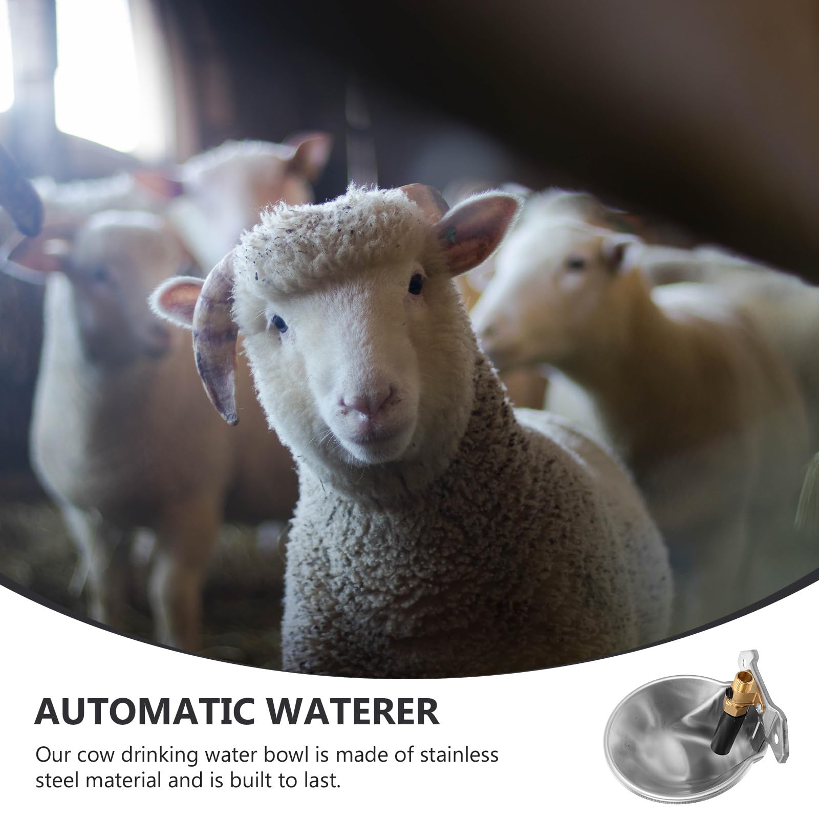 VALICLUD Ciotola Automatica per Abbeveraggio Bovini e Cavalli Distributore D’Acqua in Plastica Resistente Ciotola in Acciaio Inossidabile 304 Risparmio Idrico per Bestiame e Pecore