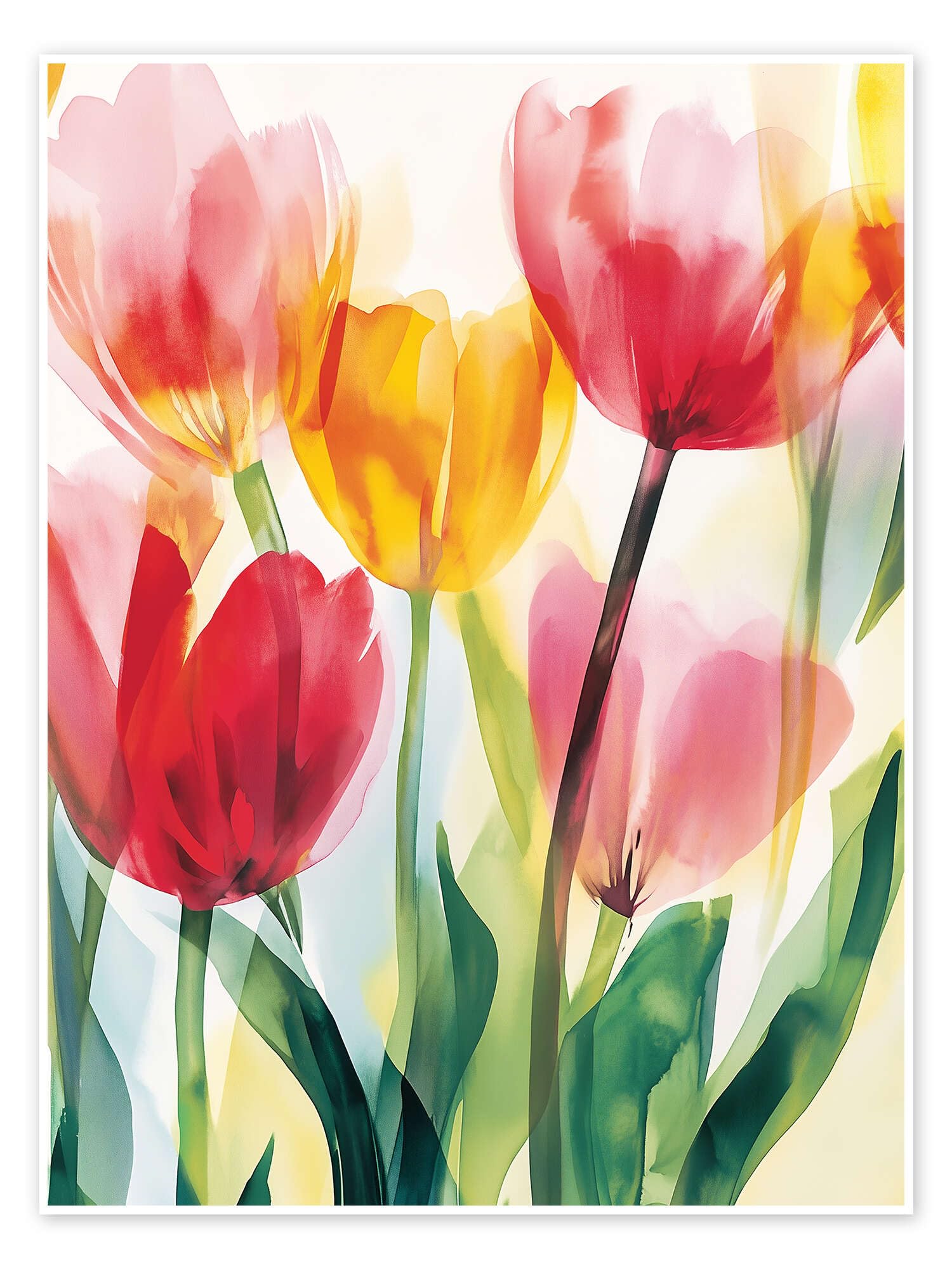 Tulip Land Plakat