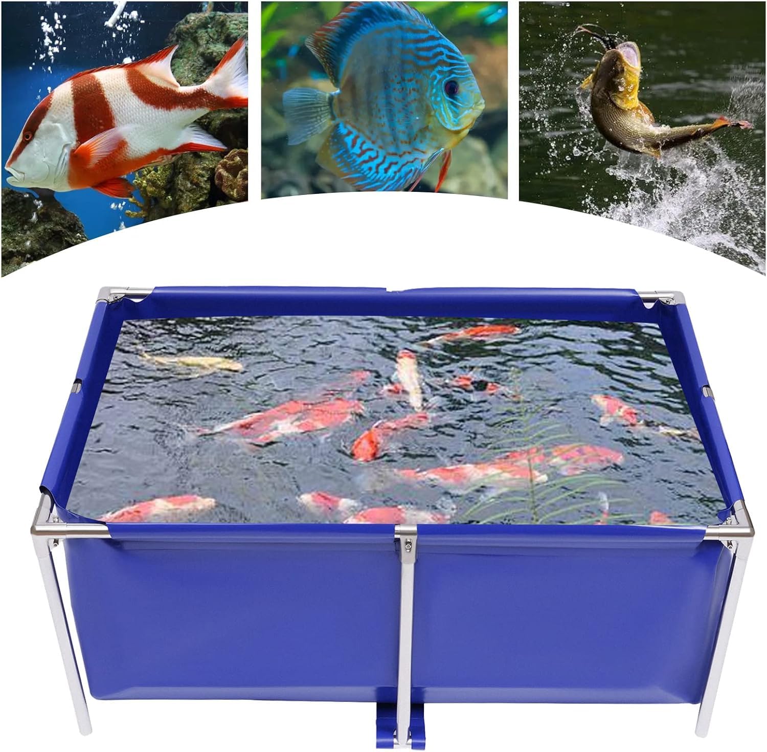 Faltbarer Koi-teich – Tragbarer Oberirdischer Wasserbehälter Für Aquarien Und Fischzucht – Strapazierfähiges Canvas-Becken Für Den Innen- Und Außenbereich