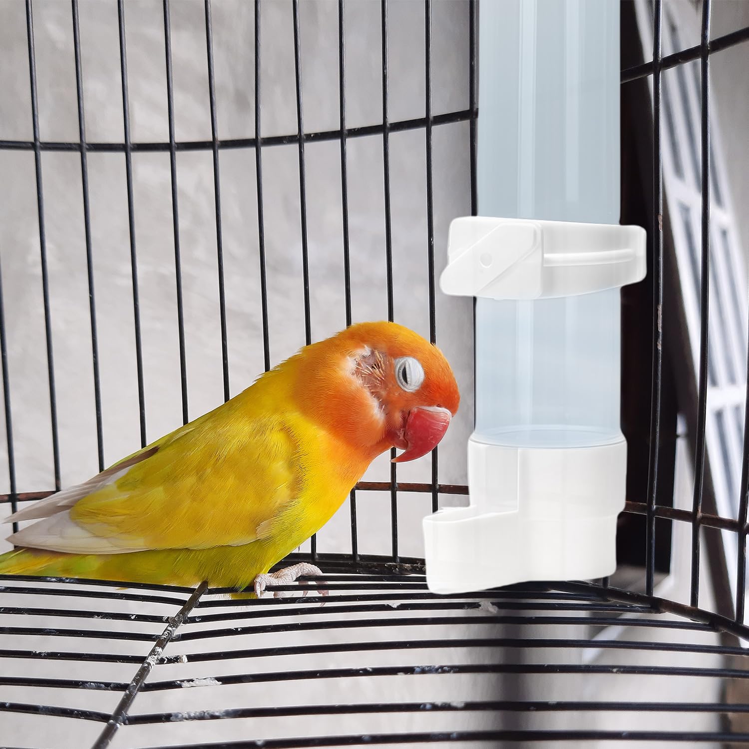 Mangiatoia per uccelli, 2 pezzi Distributore automatico di acqua per uccelli per pappagalli, parrocchetti, parrocchetti e calopsitte, Abbeveratoi per gabbia per uccelli Capacità 120 ml (bianco)
