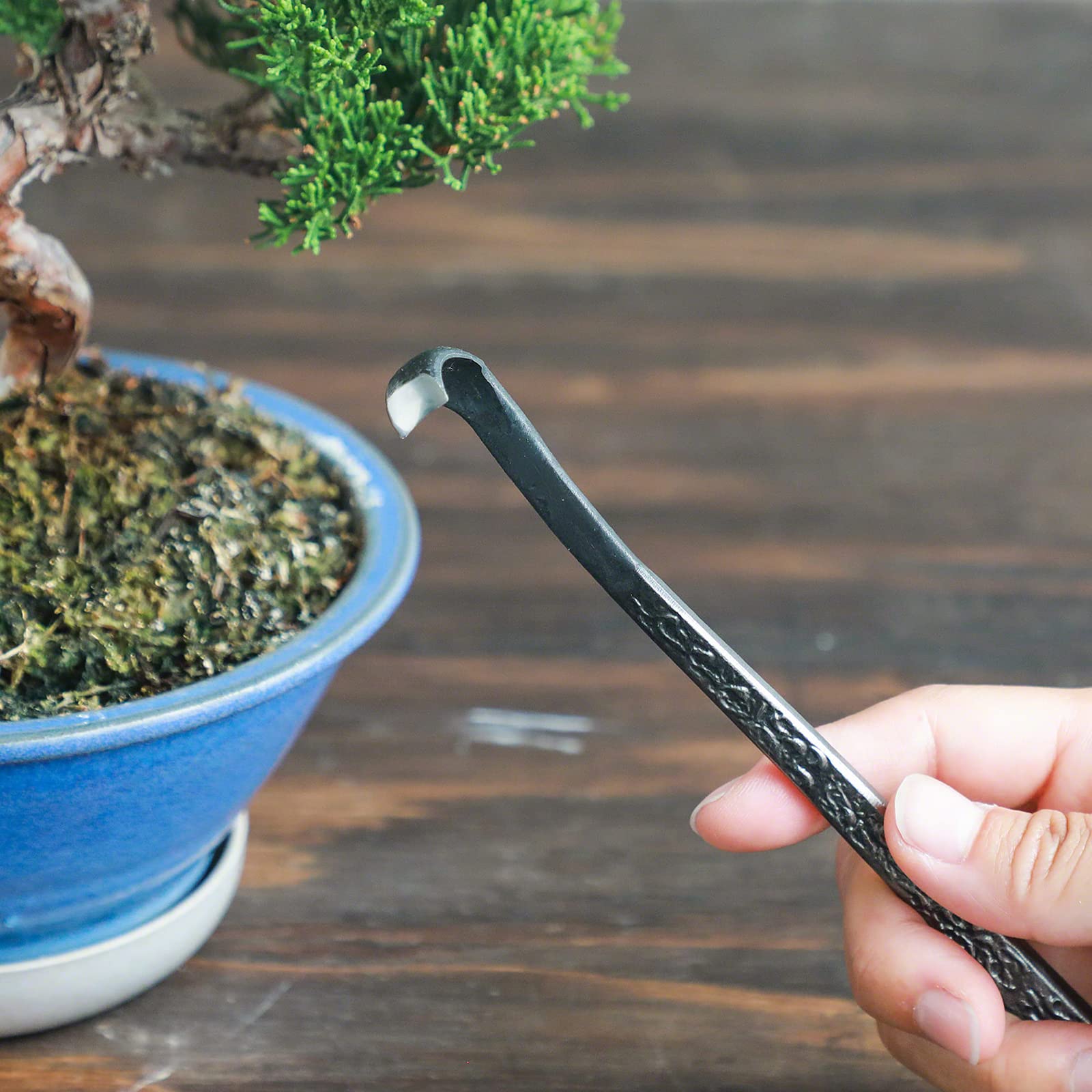 Wazakura Bonsai Cincel 185 mm (7.2 ") Hecho en Japón, Herramienta de talla de madera muerta de acero, raspador de corteza japonesa Jin Shari, Gouge redonda