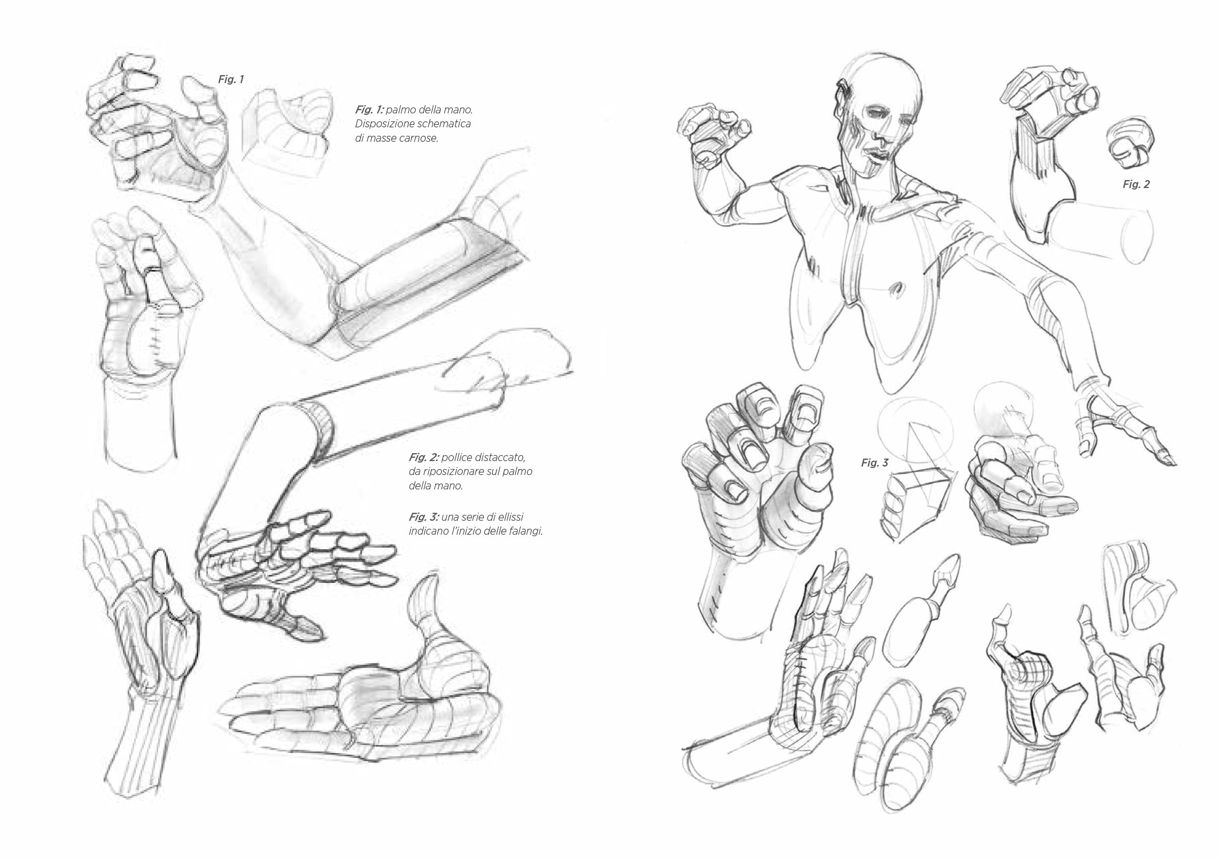 Anatomia Artistica Strutture e Superficie Vol 2