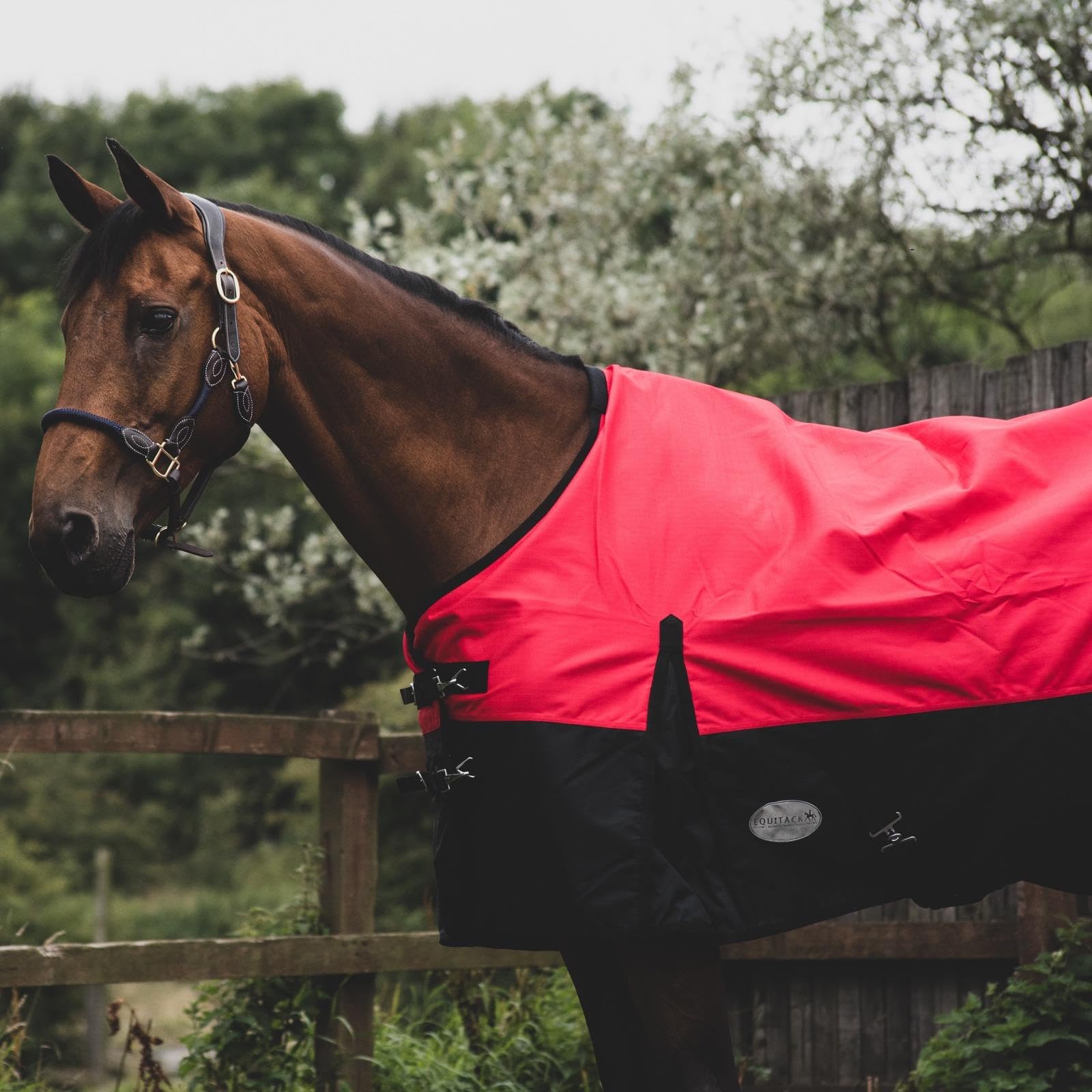 Equitack 1200D Winterdecke Pferd, 155cm | Regular Regendecke Pferd mit Fleece Lining | wasserdichte Outdoordecke Pferd | Red/Black