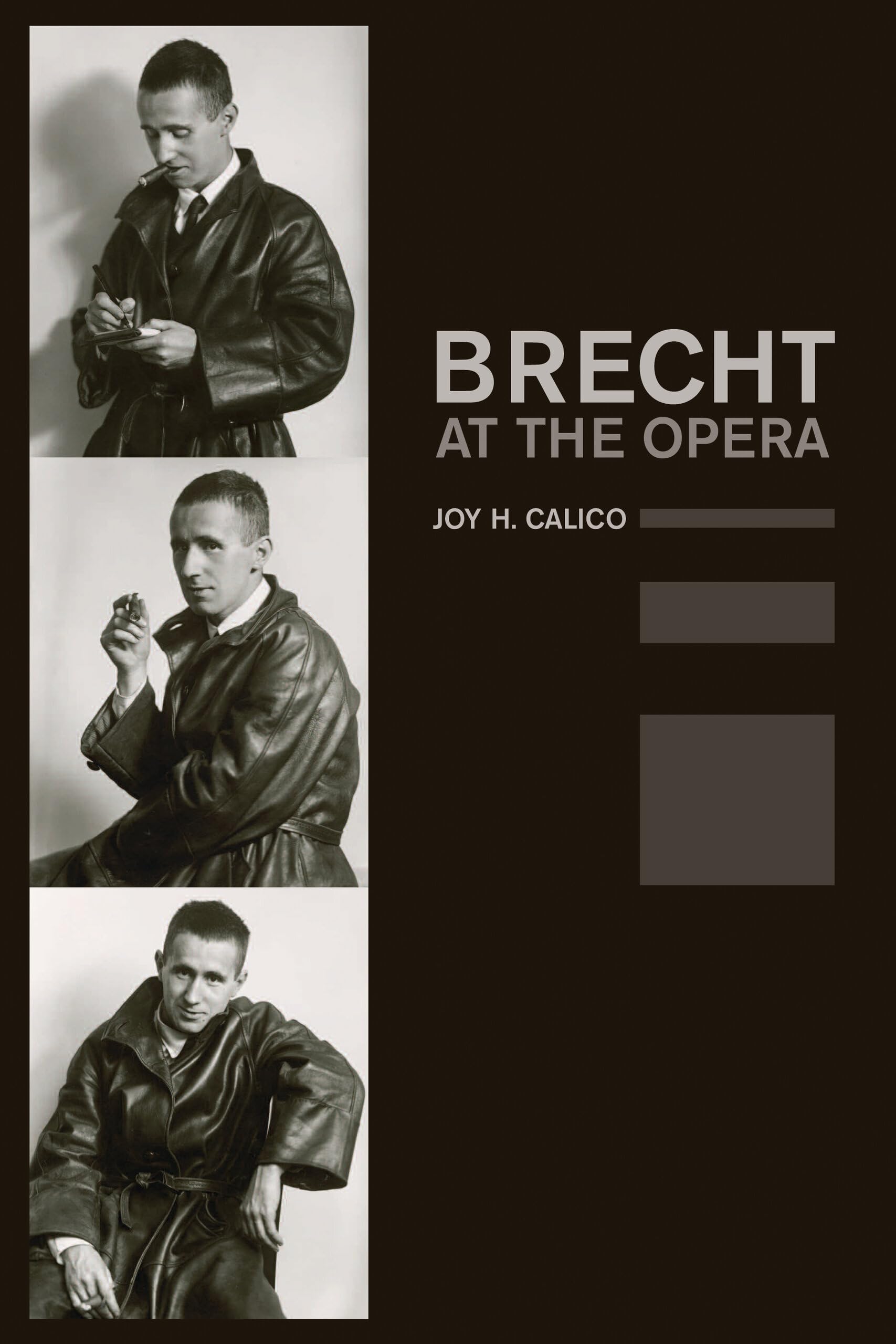 Brecht at the Opera livre de critique musicale et théâtrale broché