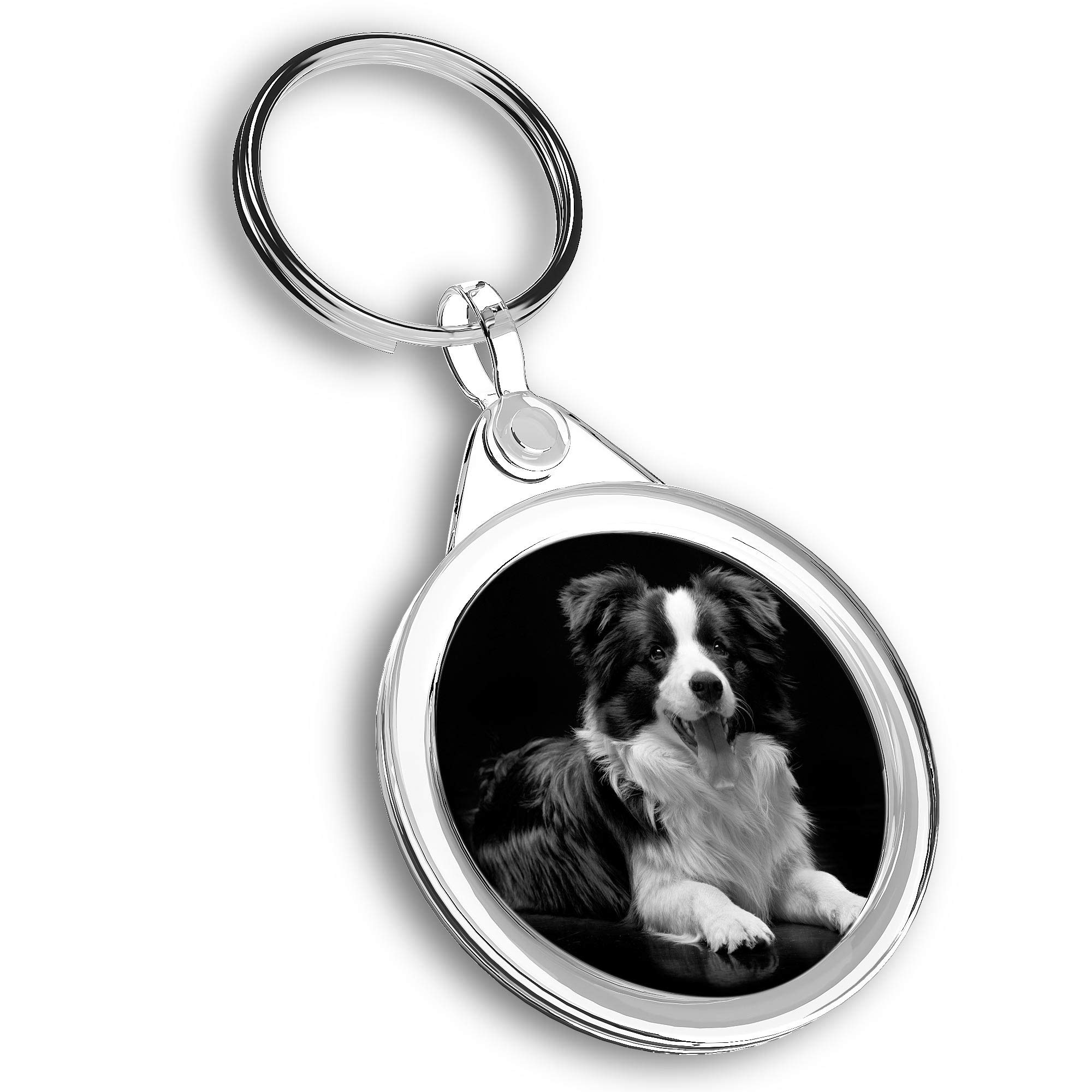 Destination Vinyl Ltd 1 x Photo Keyring - Black Border Collie Farm Dog Puppy |Keychain|Keyring|Charm| #42717