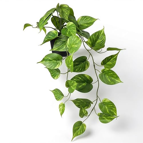 Fake Pothos Hanging Plants – Artificial Plastic Ivy Vines with