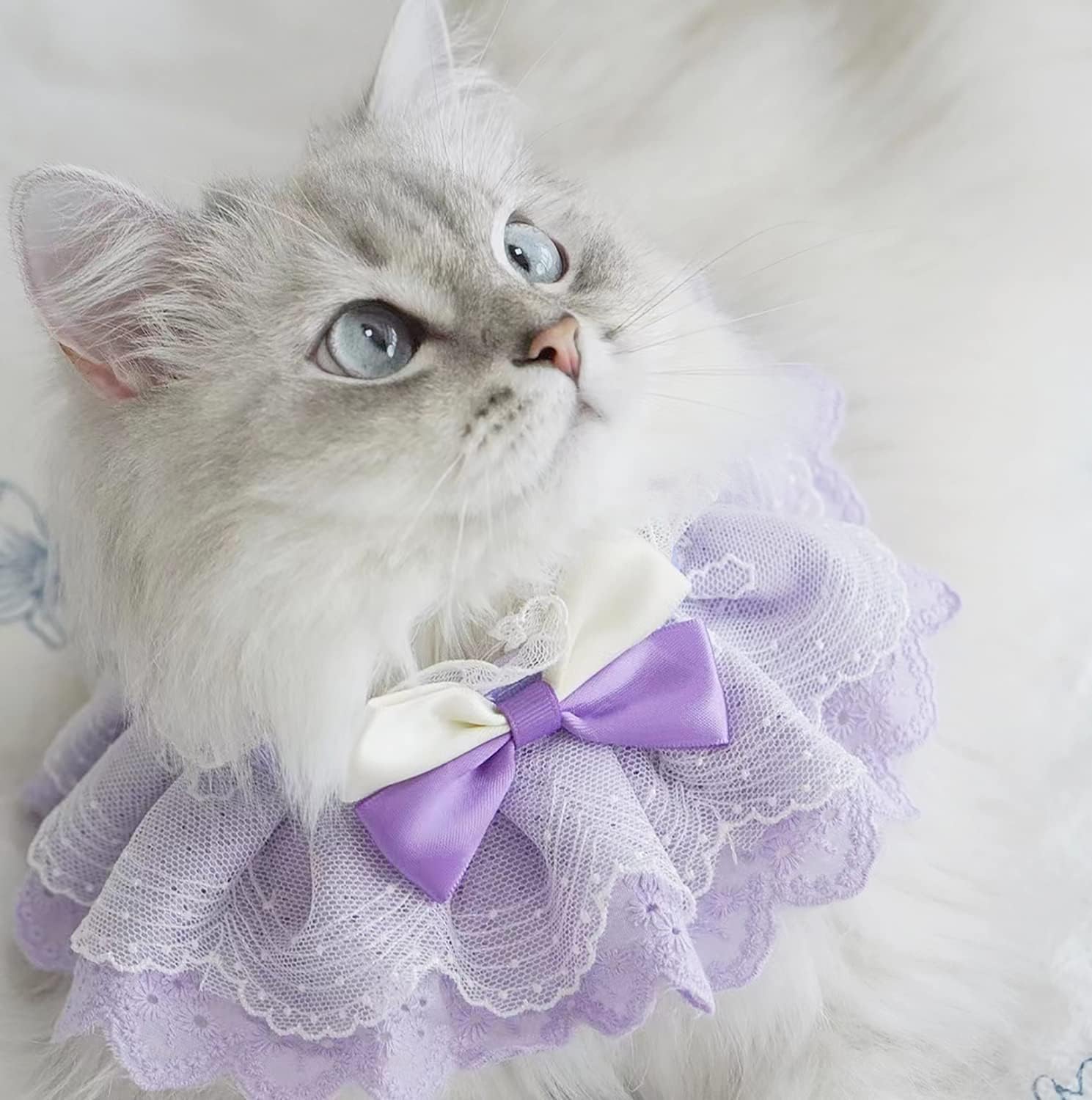 Amazon | WEILFYONK 猫犬首輪猫唾液タオル首輪猫服犬服手作りレース