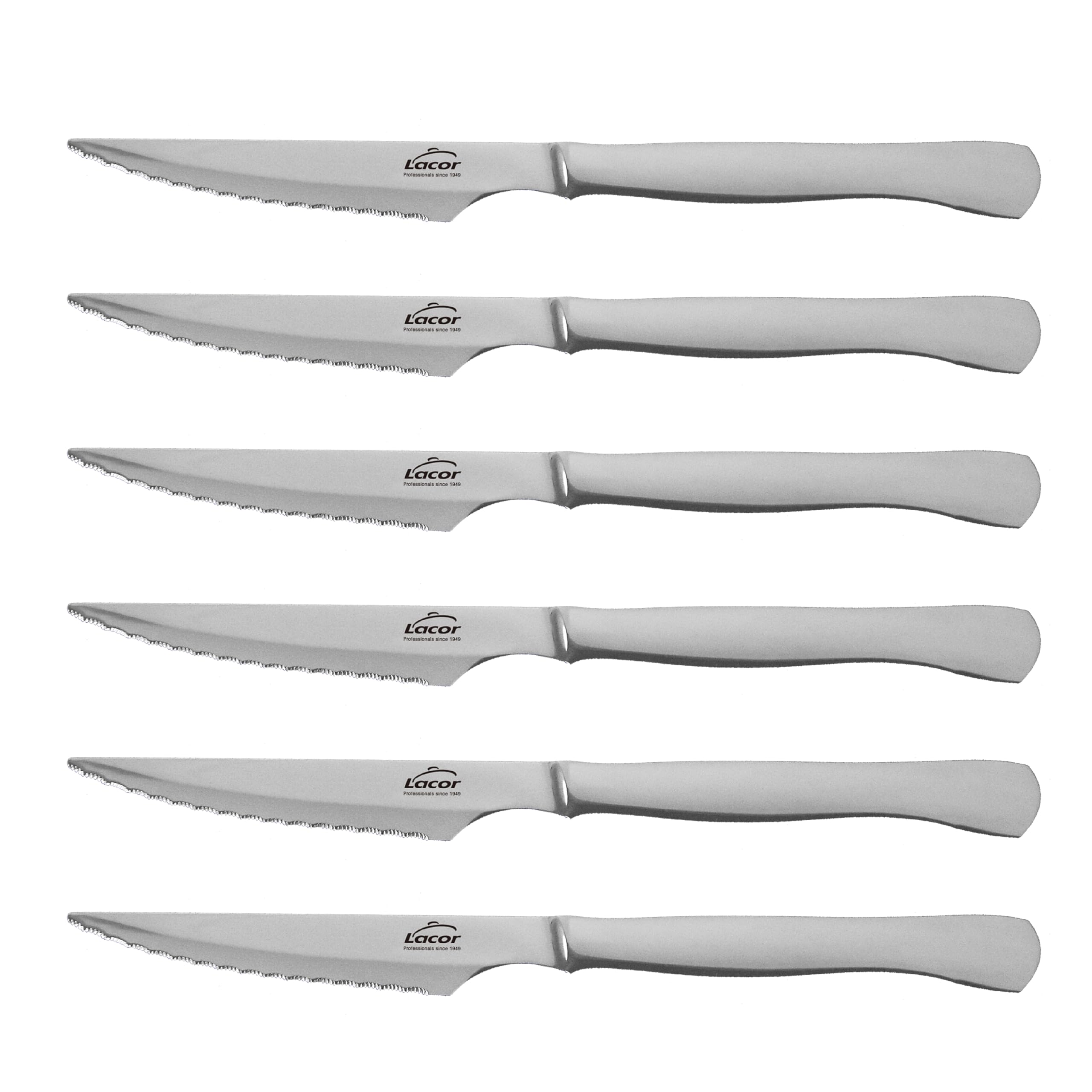 LACOR - 38241 - Set de cuchillos Monoblock,Filo serrado,Acero inoxidable, 6 piezas, 22 cm, Mango ergonómico