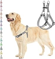 Vista 47 de PUPTECK Arnés para perro sin tirones, suave y ajustable, de nailon básico, chaleco para cachorros para caminar al aire libre con etiqueta