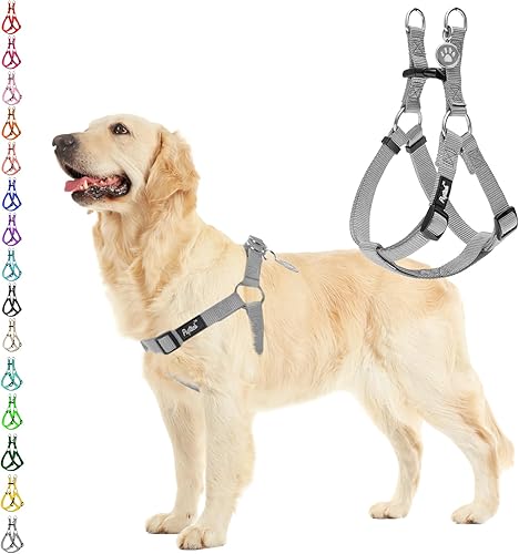 Miniatura 47 de PUPTECK Arnés para perro sin tirones, suave y ajustable, de nailon básico, chaleco para cachorros para caminar al aire libre con etiqueta