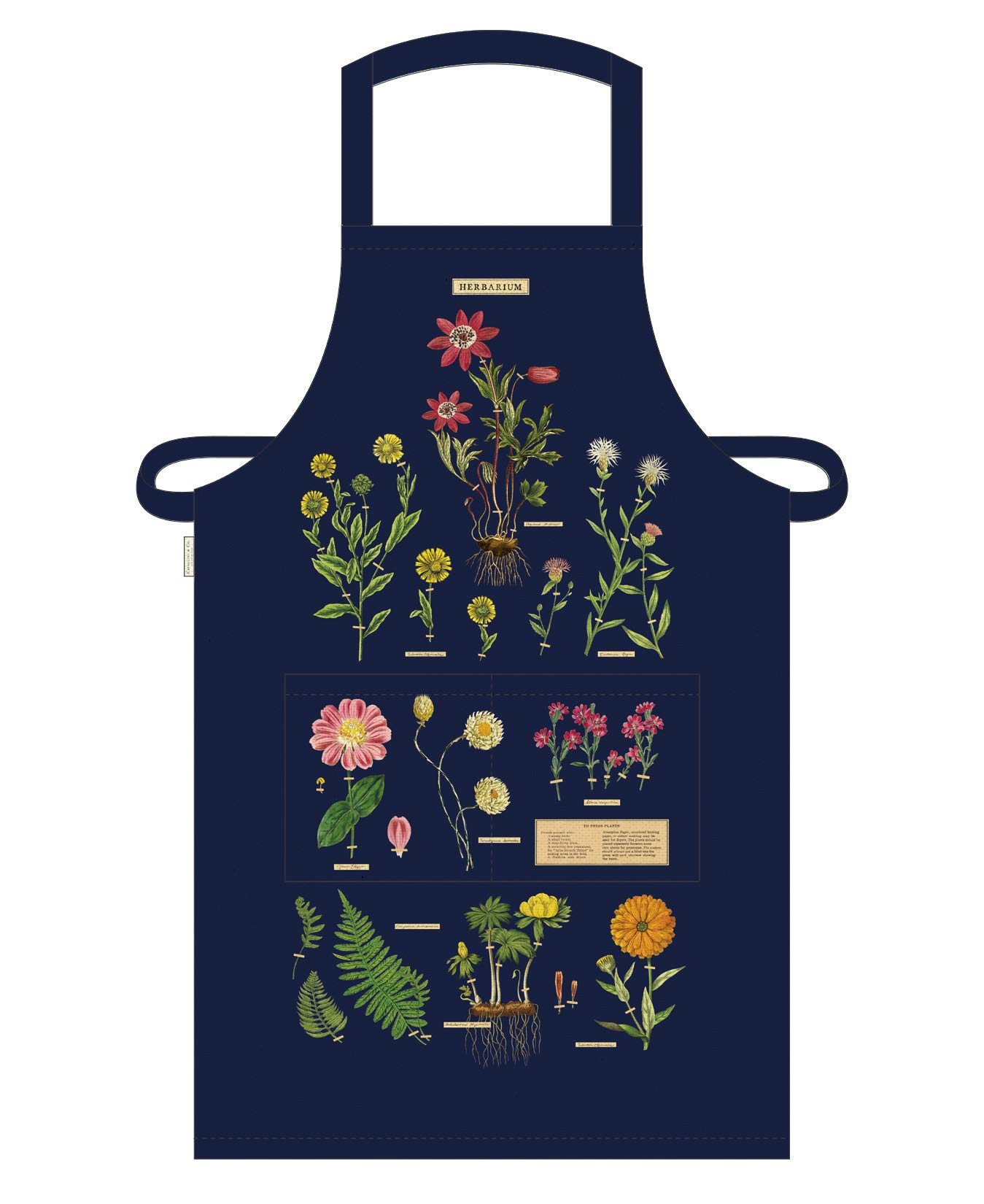Cavallini Papers & Co. Herbarium Vintage Apron, Multi