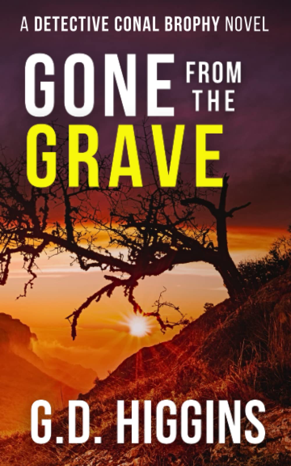 GONE FROM THE GRAVE: Gripping Irish Crime Mystery - Detective Conal Brophy Book 3