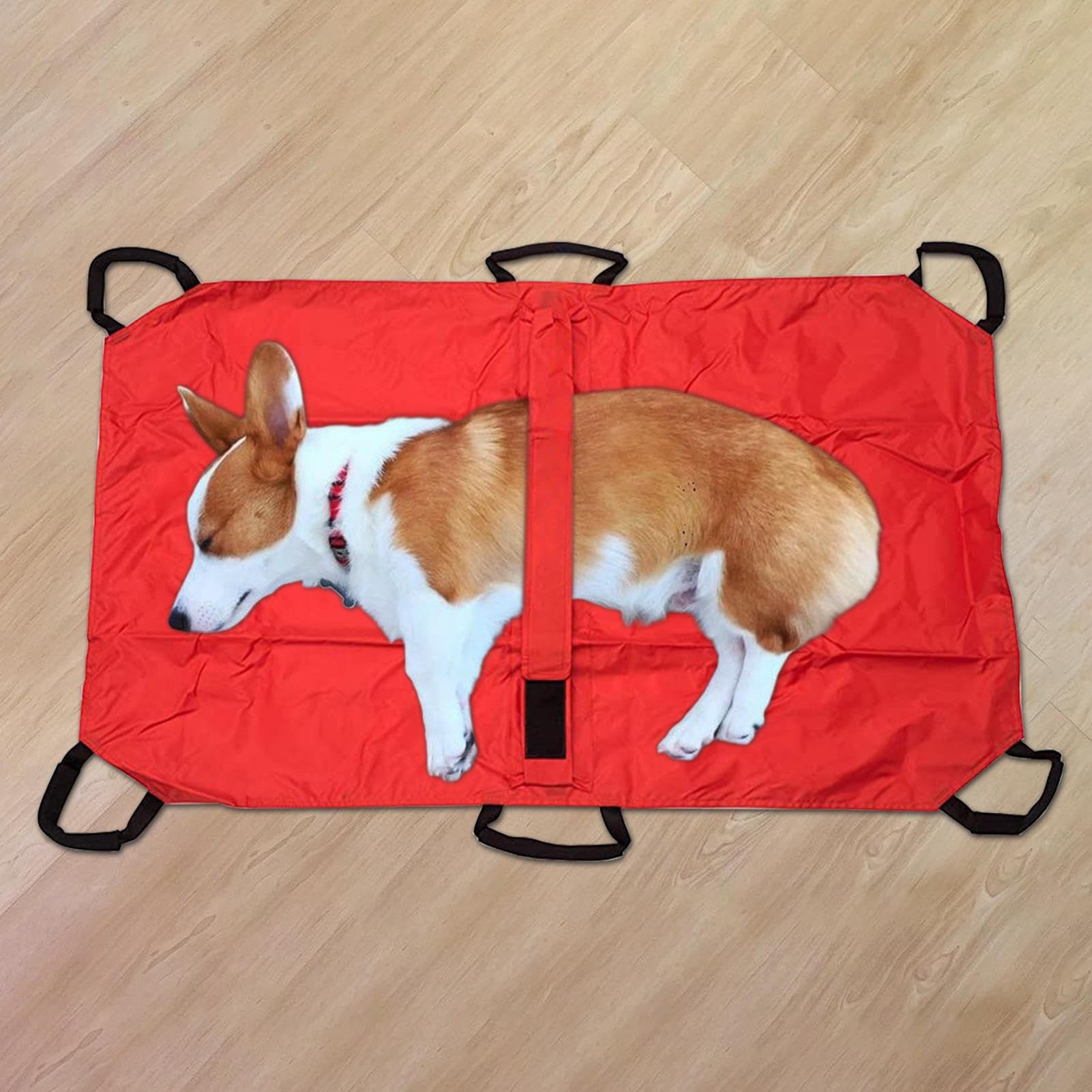 Civière pour Animaux | Brancard Porte-Animaux | Léger pour Secours Et Levage De Patients Animaux Chiots Chats Lapins